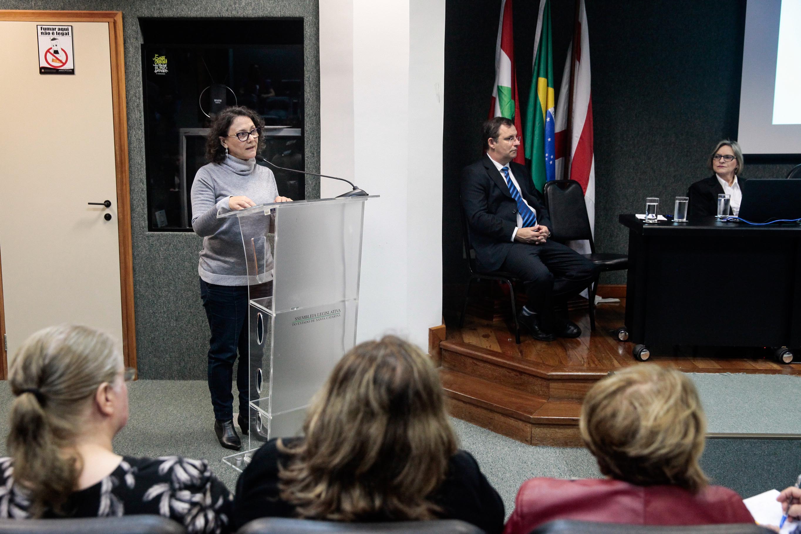 Audiência Pública Pacto Maria da Penha.