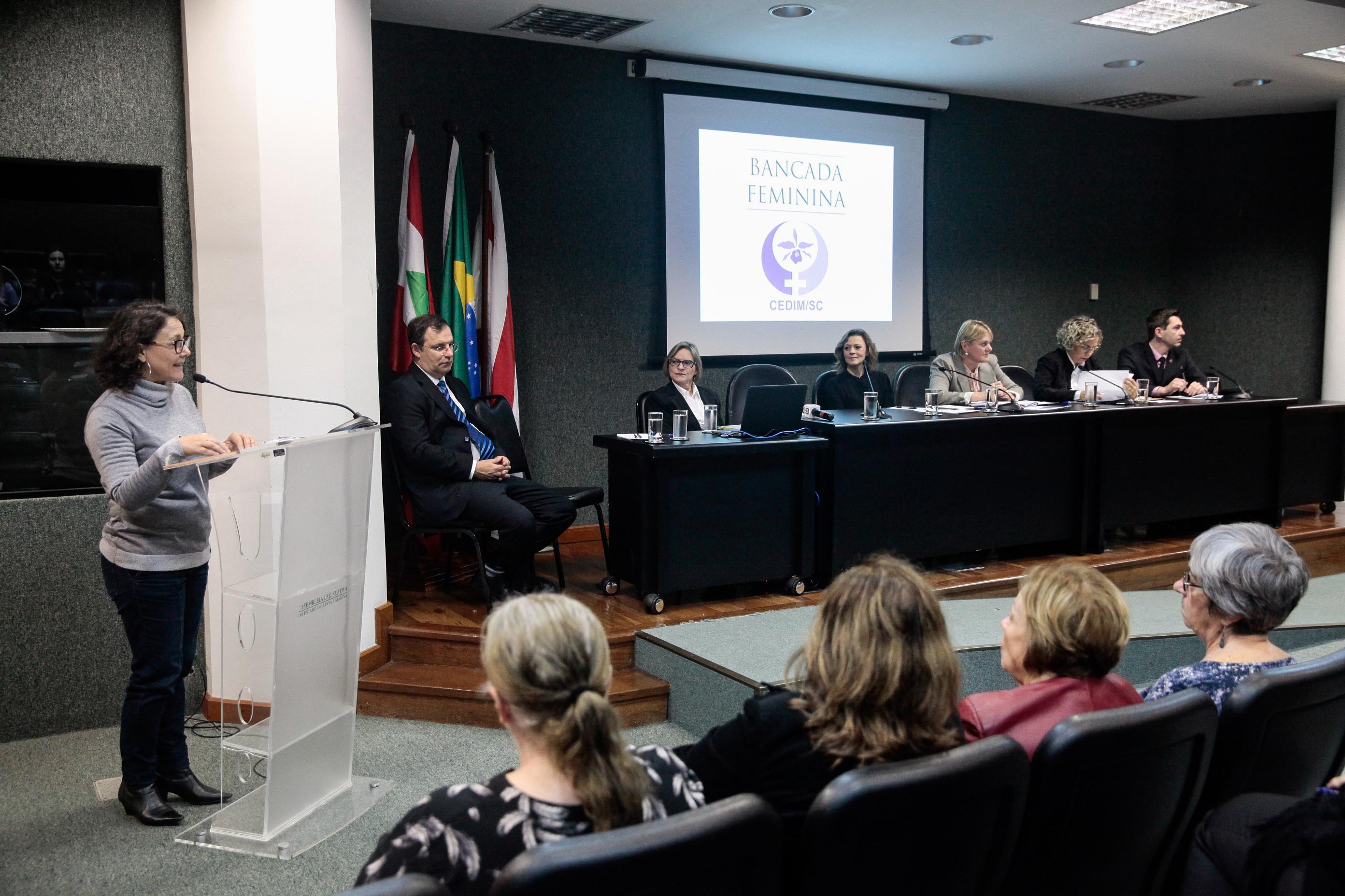 Audiência Pública Pacto Maria da Penha.