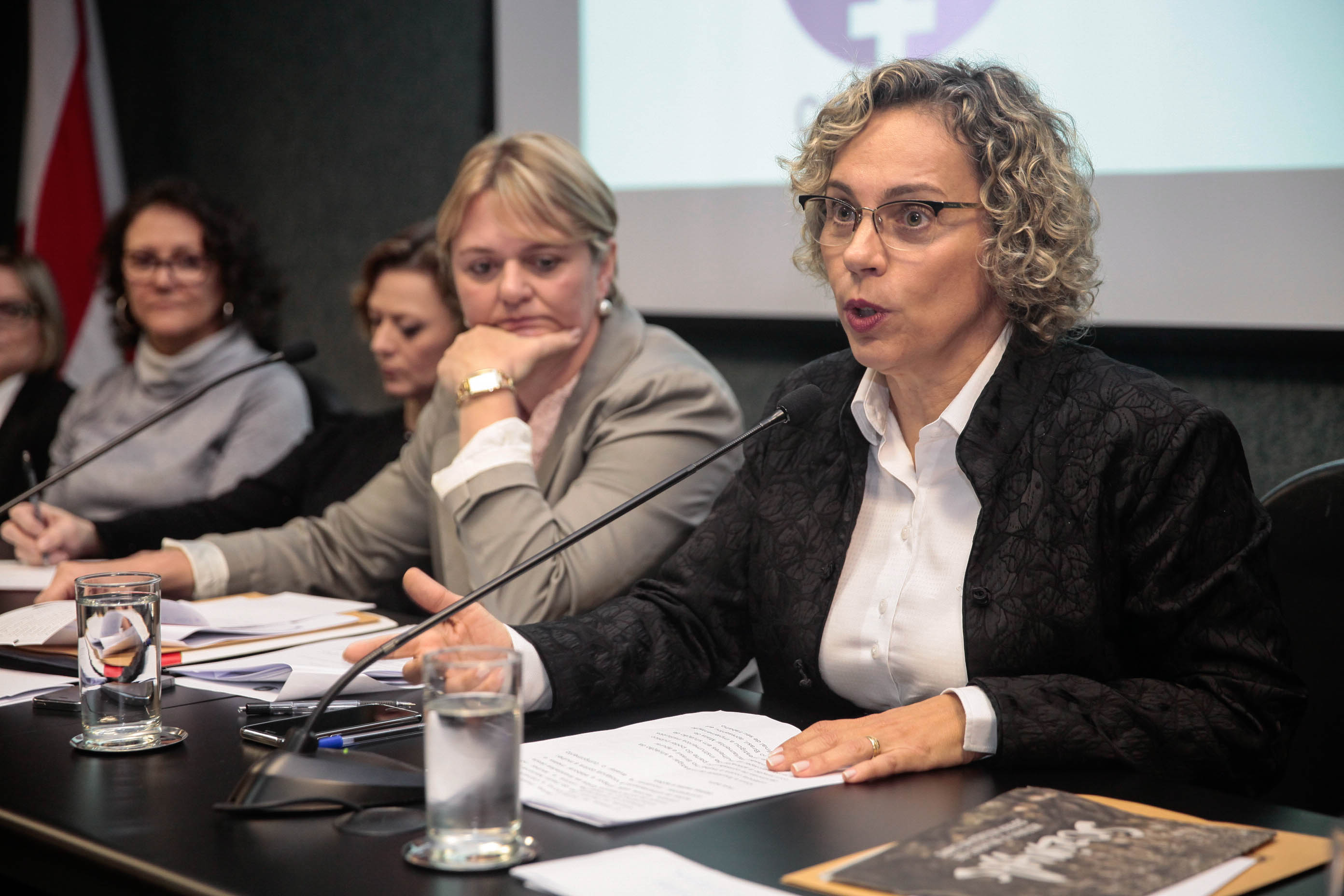 Audiência Pública Pacto Maria da Penha.