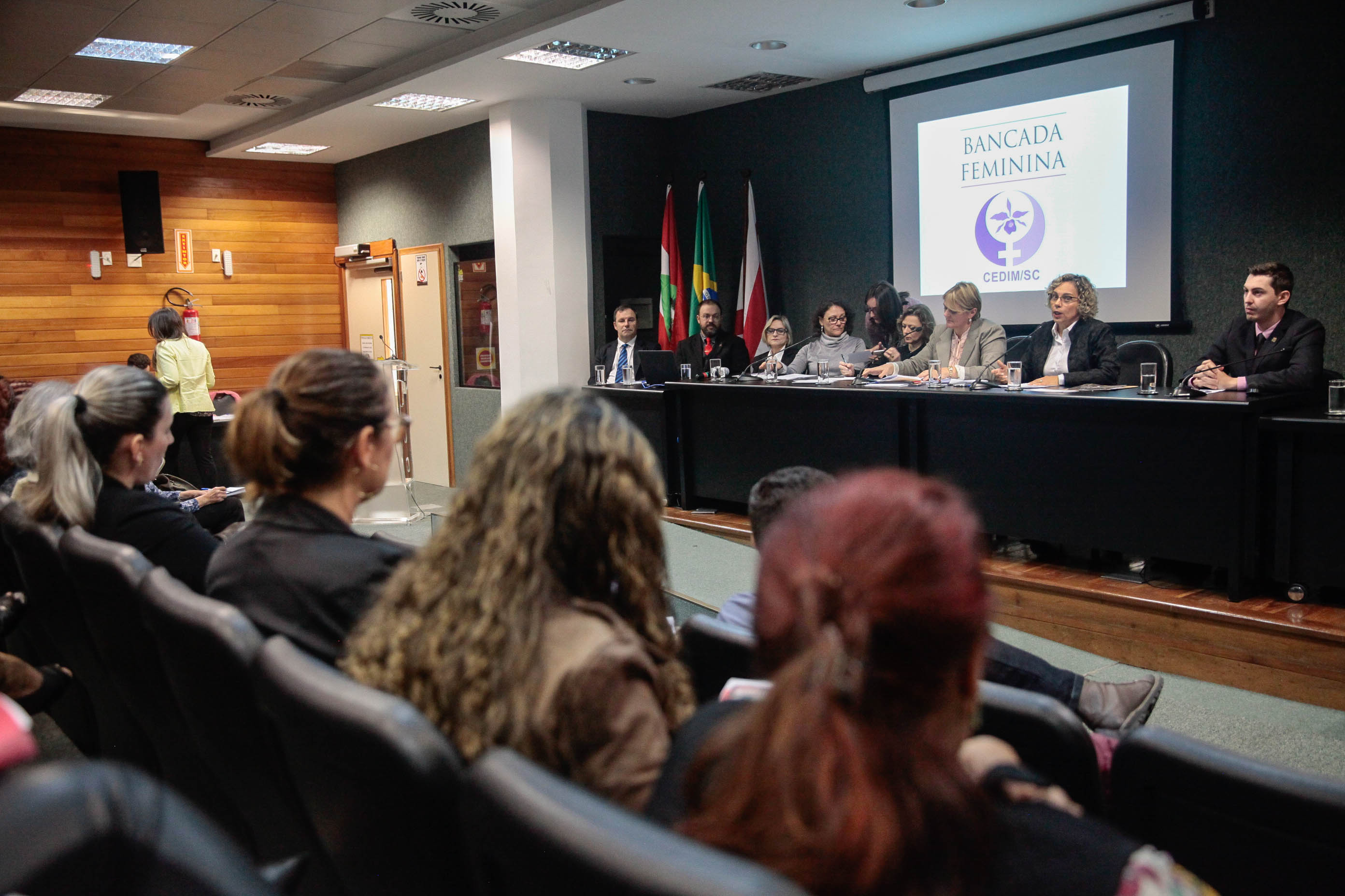 Audiência Pública Pacto Maria da Penha.