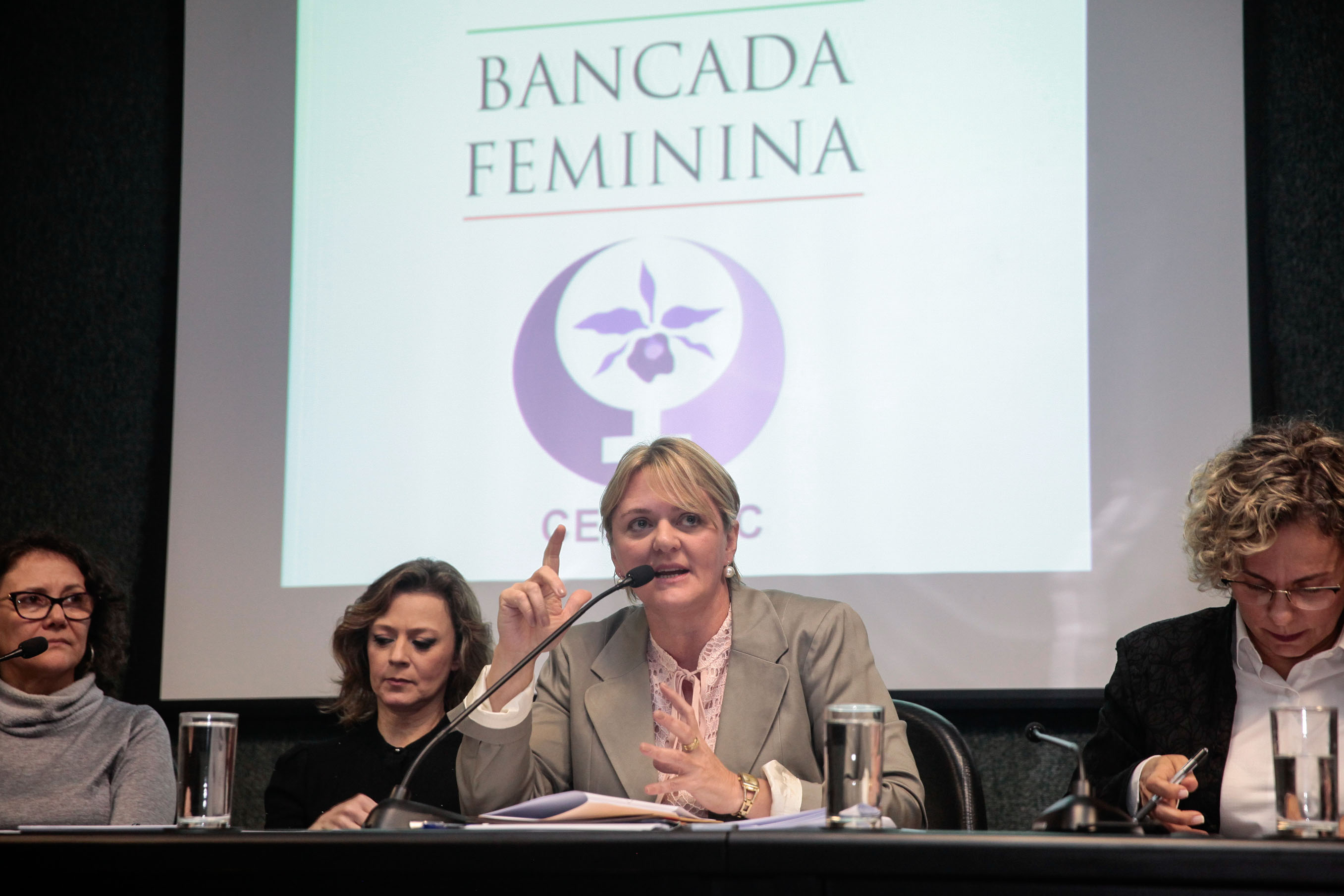 Audiência Pública Pacto Maria da Penha.