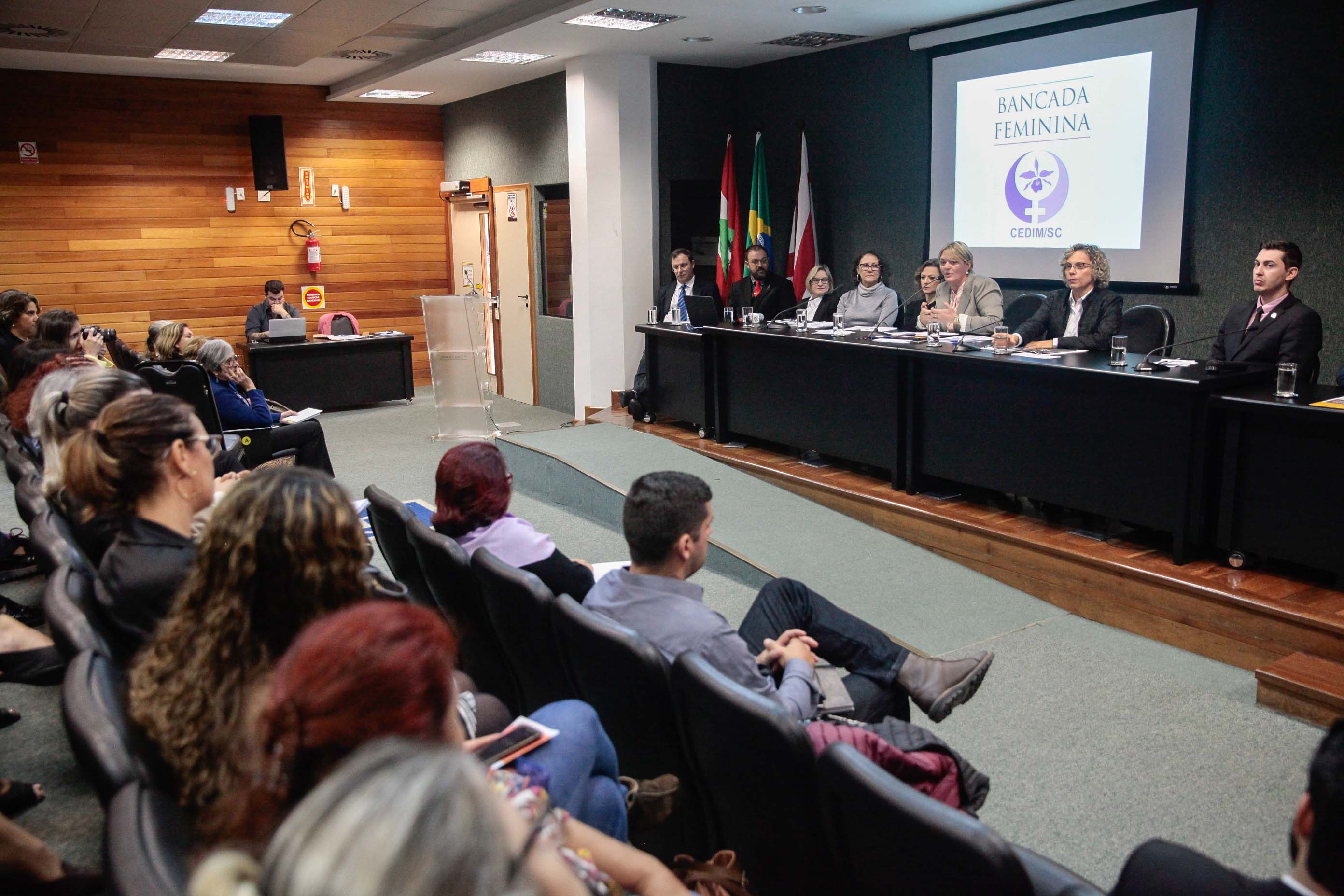 Audiência Pública Pacto Maria da Penha.