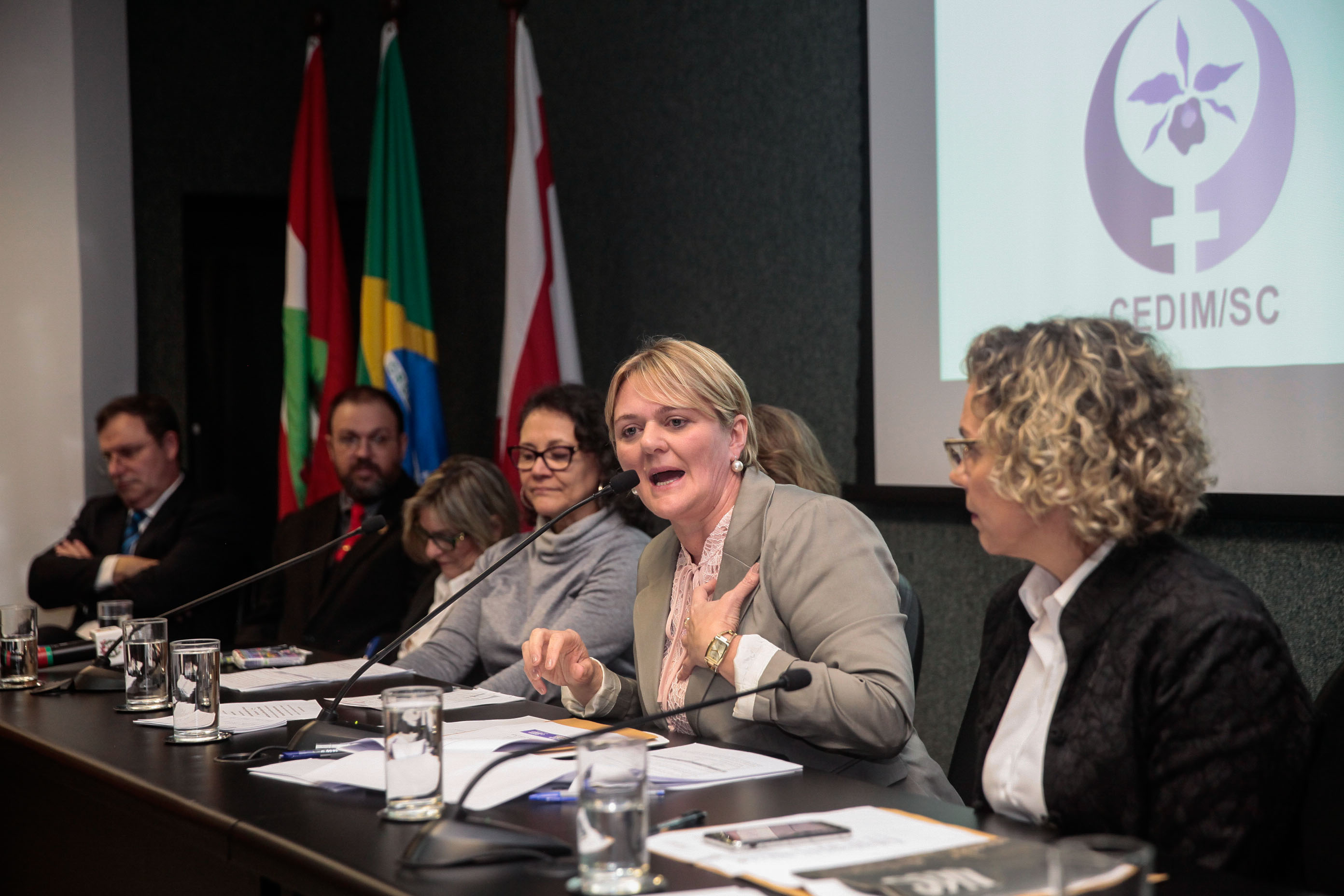 Audiência Pública Pacto Maria da Penha.
