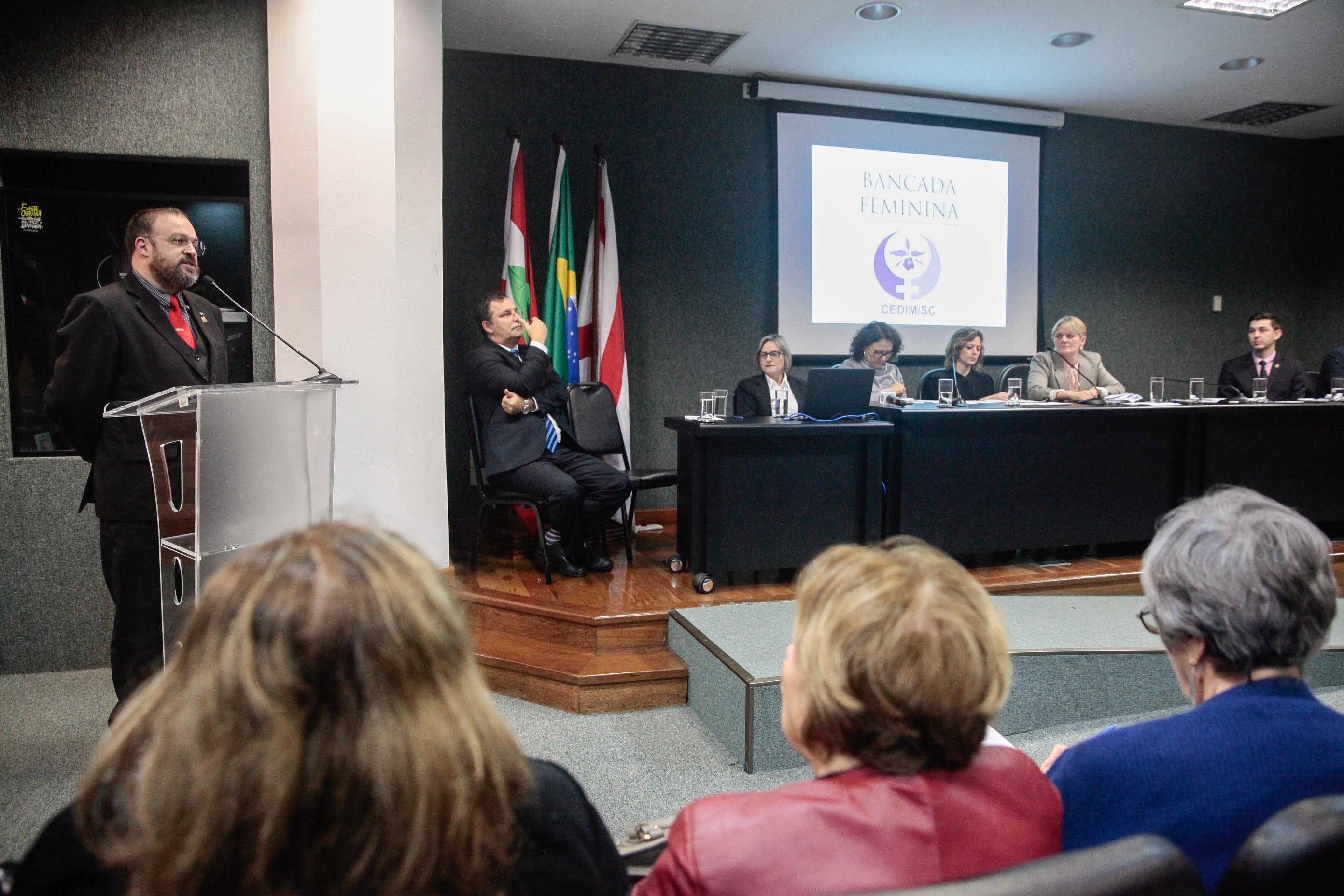 Audiência Pública Pacto Maria da Penha.