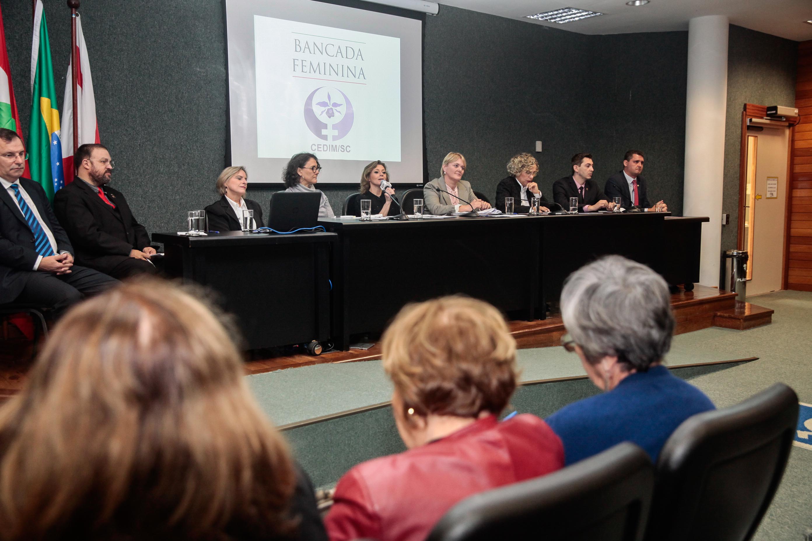 Audiência Pública Pacto Maria da Penha.