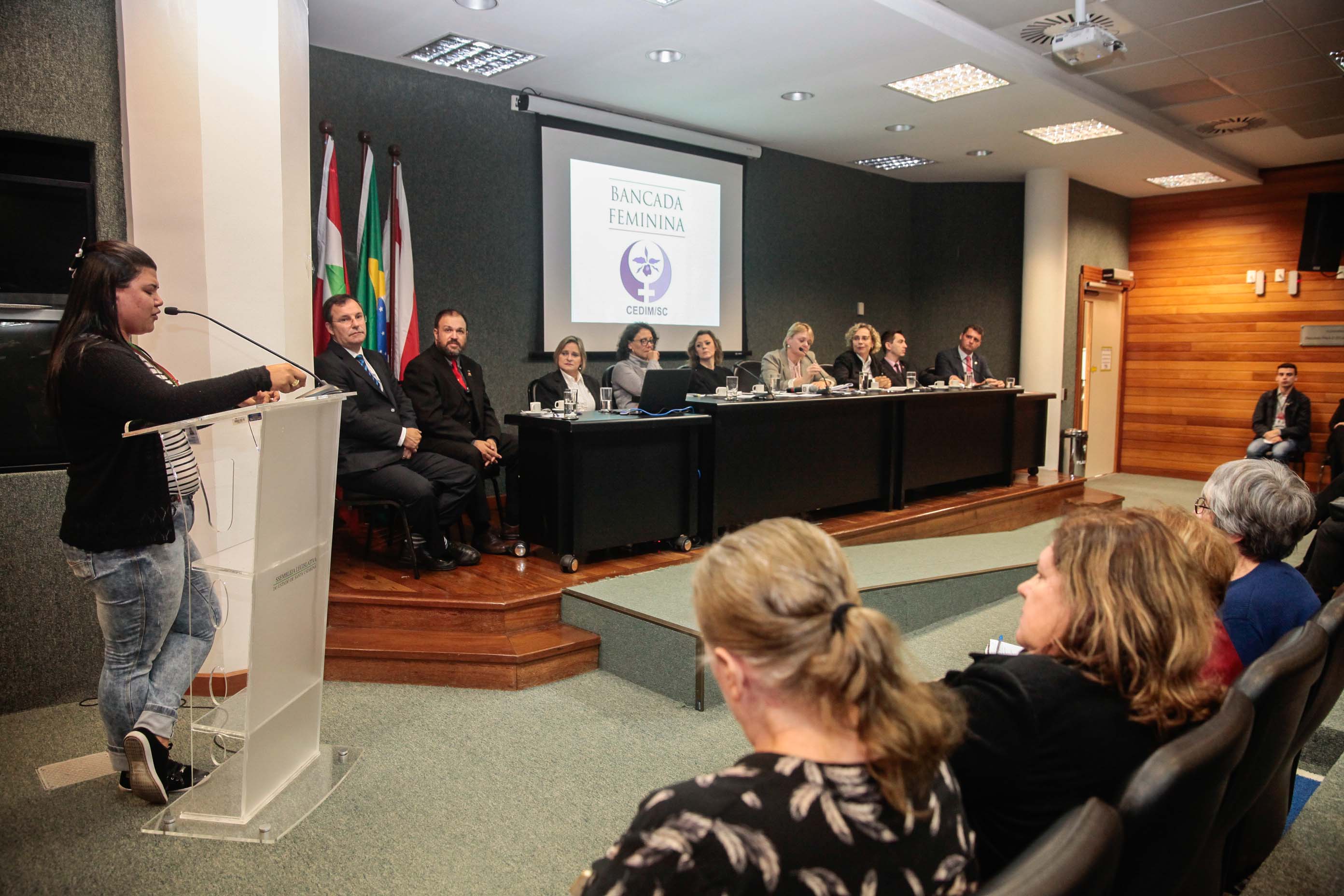 Audiência Pública Pacto Maria da Penha.