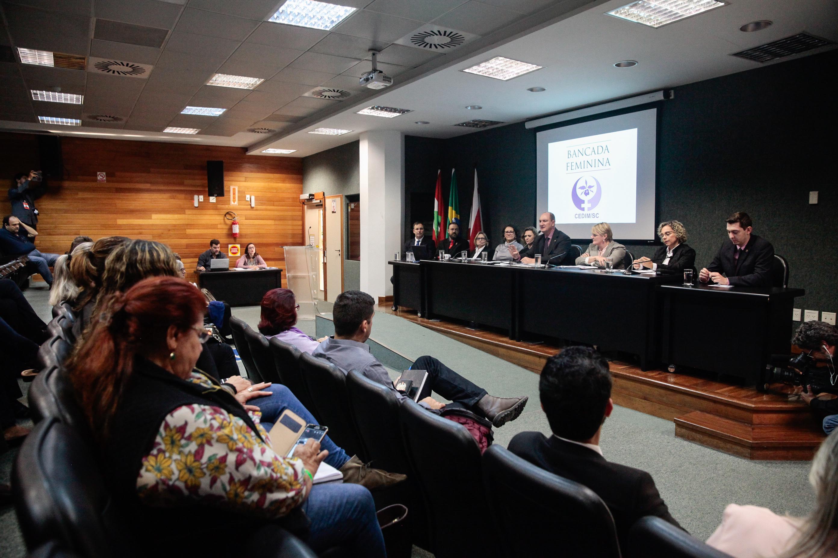 Audiência Pública Pacto Maria da Penha.