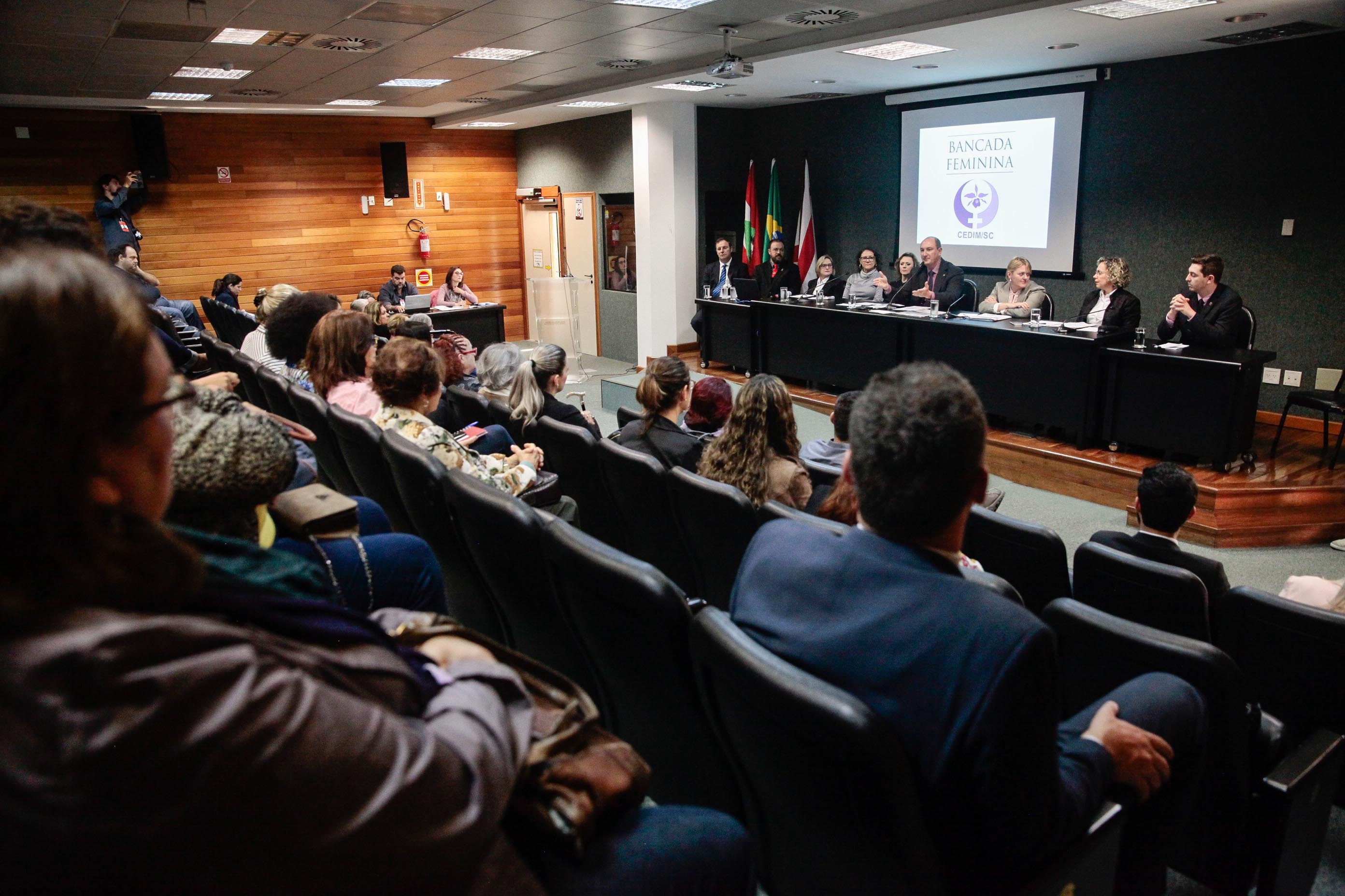 Audiência Pública Pacto Maria da Penha.