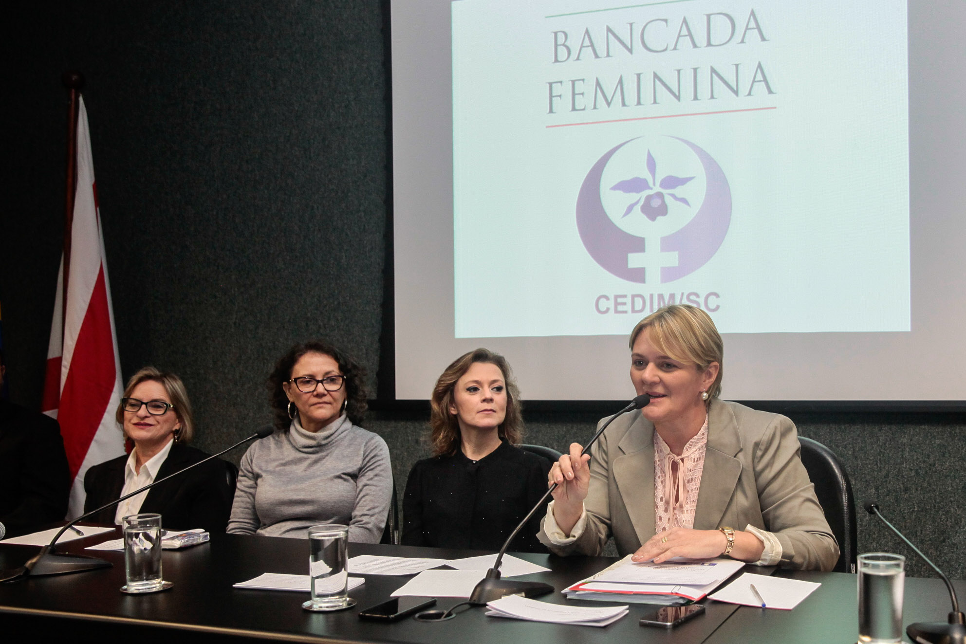 Audiência Pública Pacto Maria da Penha.