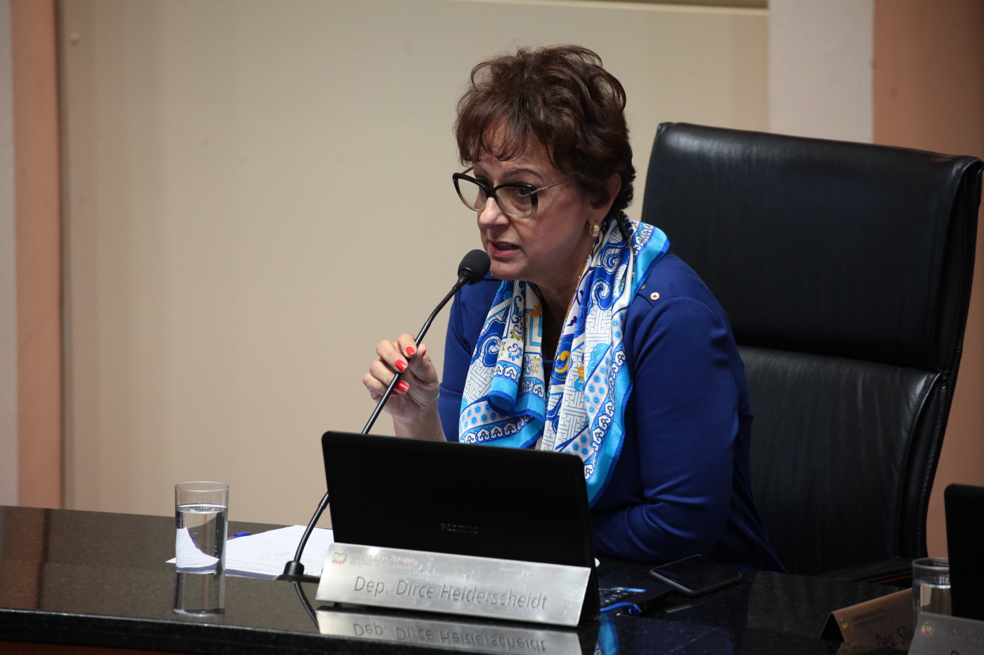 Deputada Dirce Heiderscheidt, proponente do congresso sobre aleitamento materno