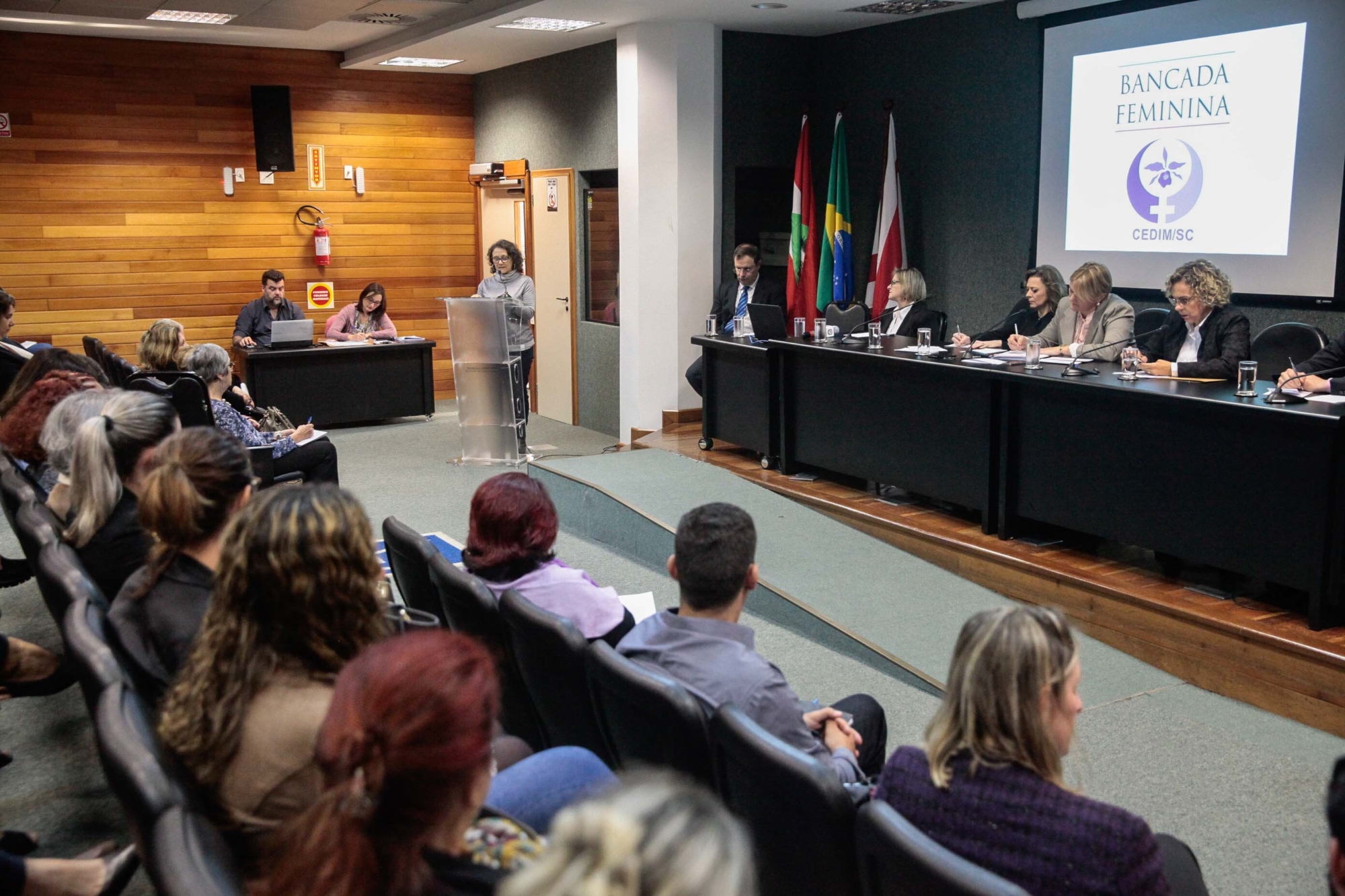 Audiência debate pacto pelo enfrentamento à violência contra a mulher