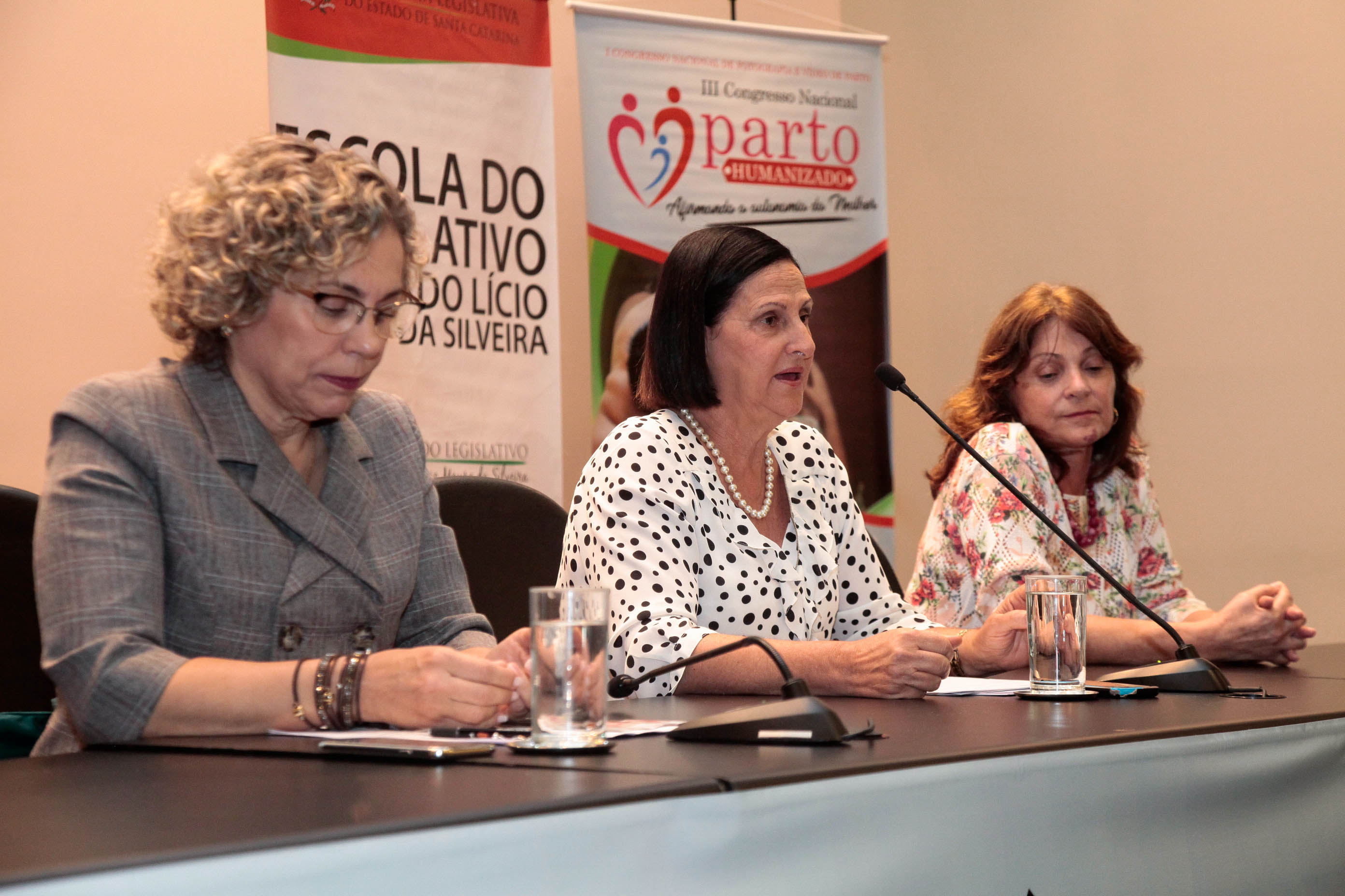 III Congresso Nacional de Parto Humanizado.