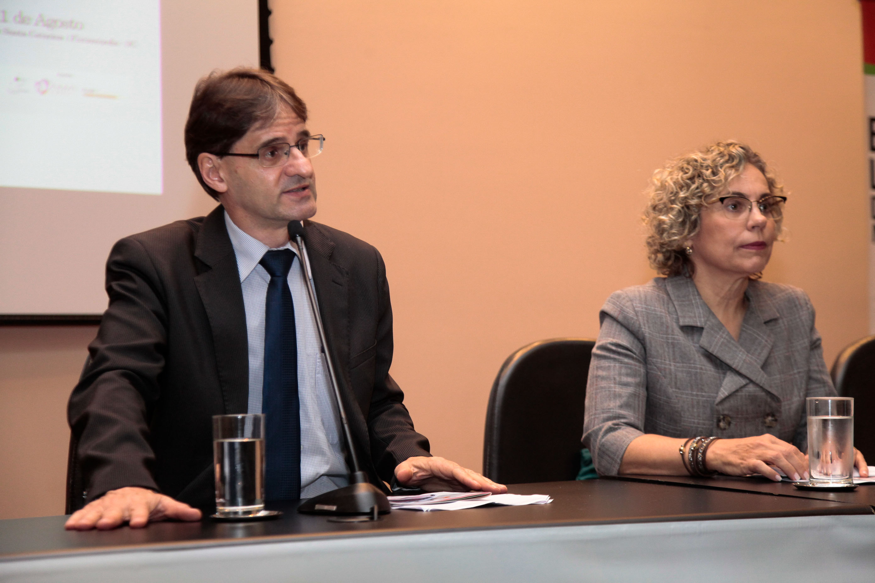III Congresso Nacional de Parto Humanizado.