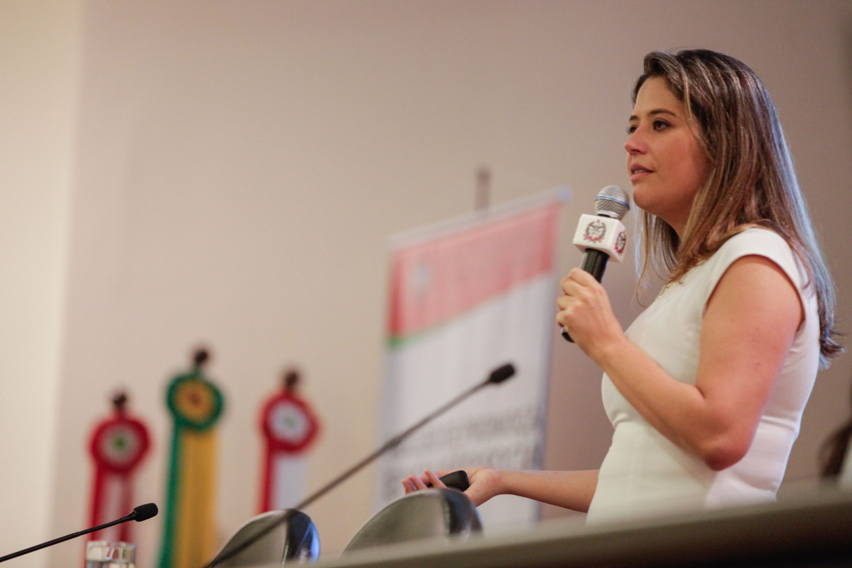 Alanna Kern. 3° Congresso Nacional de Parto Humanizado.
