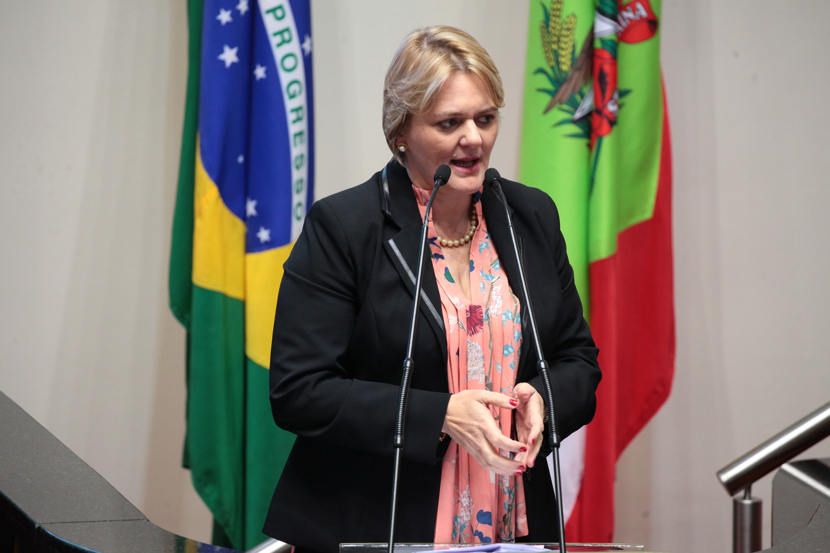 Deputada Luciane Carminatti (PT). Sessão Ordinária.