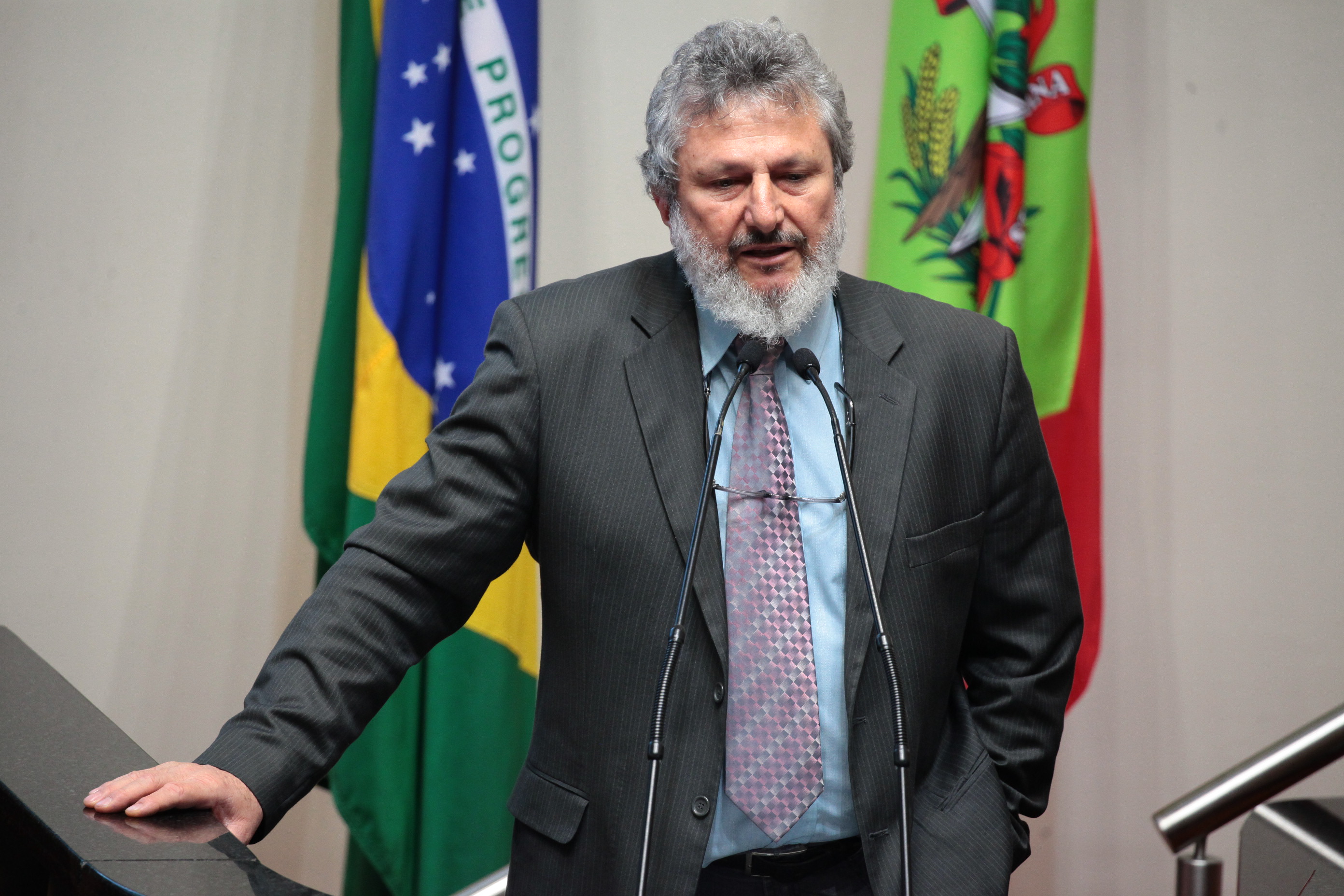 Deputado Padre Pedro Baldissera (PT). Sessão Ordinária.