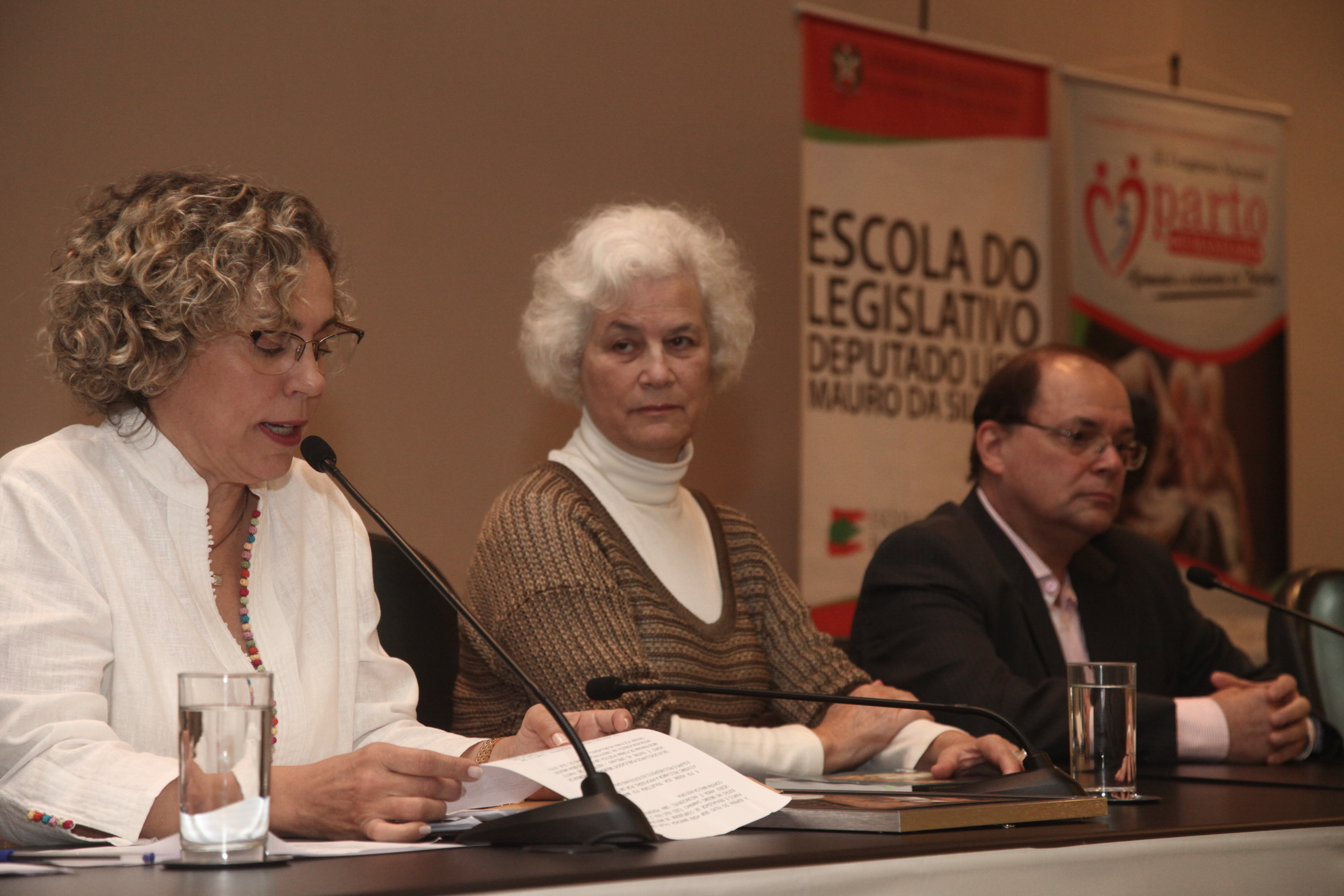 3° Congresso Nacional de Parto Humanizado.