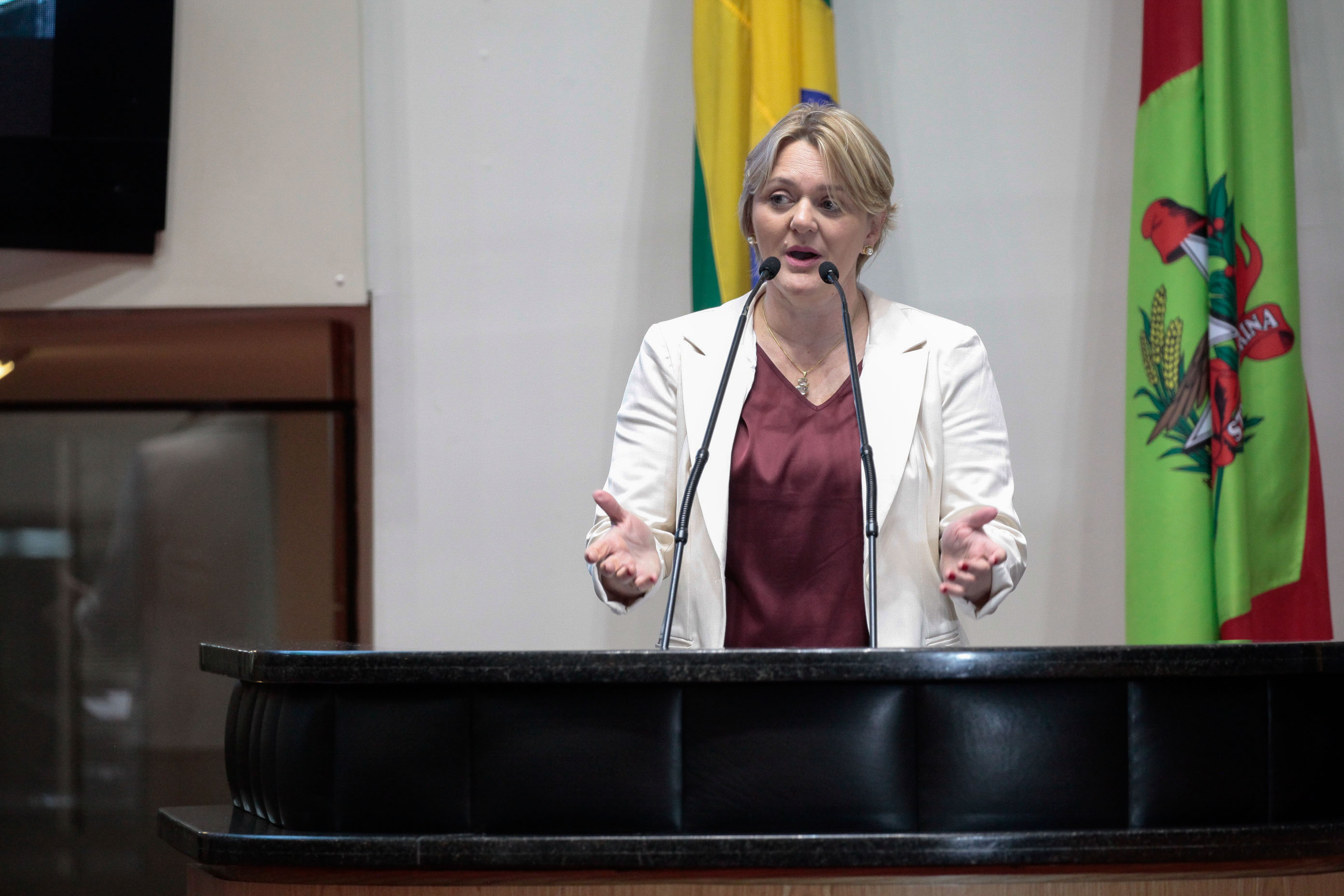 Deputado Luciane Carminatti (PT). Sessão Ordinária.