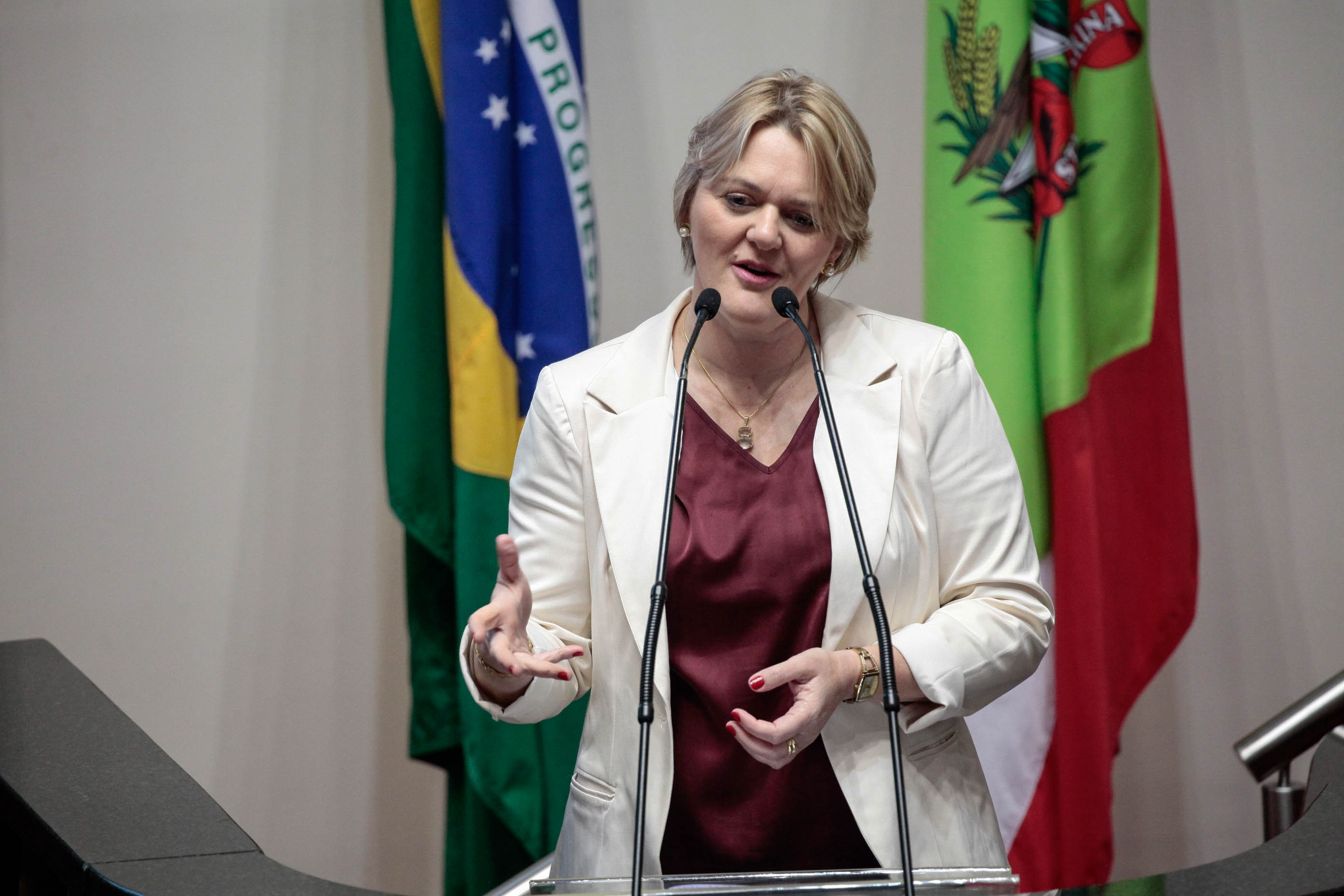 Deputado Luciane Carminatti (PT). Sessão Ordinária.