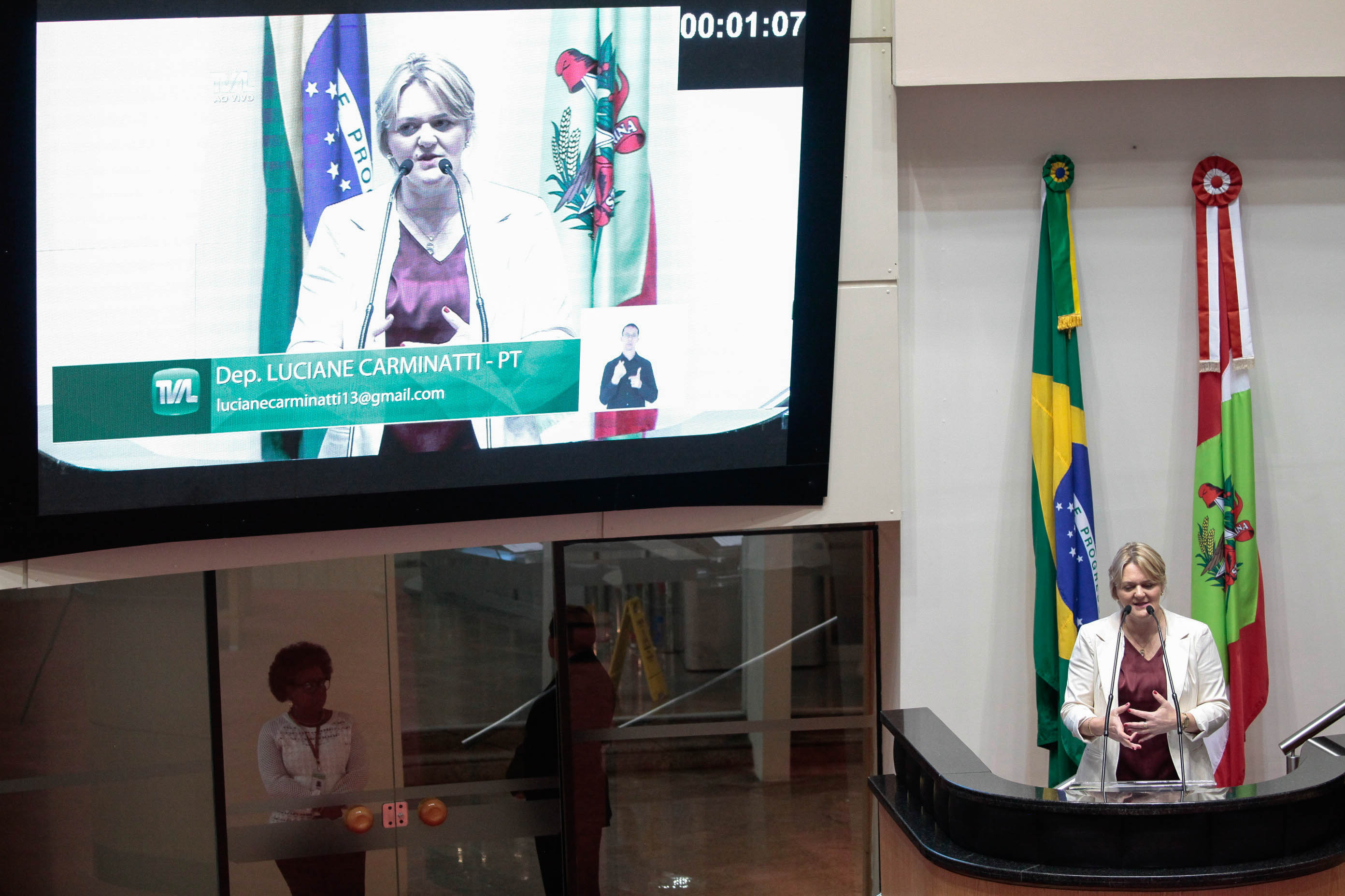 Deputado Luciane Carminatti (PT). Sessão Ordinária.