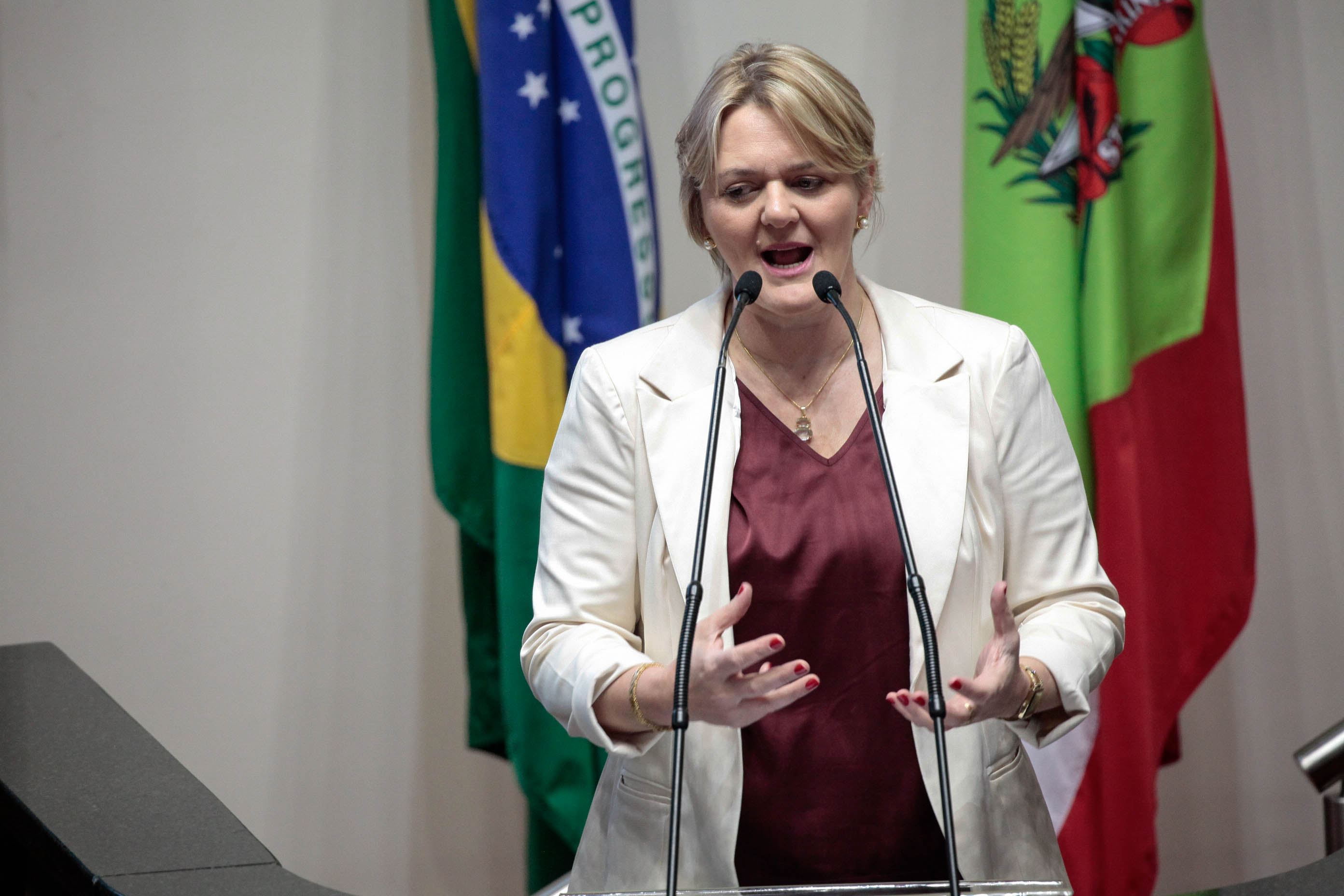 Deputado Luciane Carminatti (PT). Sessão Ordinária.