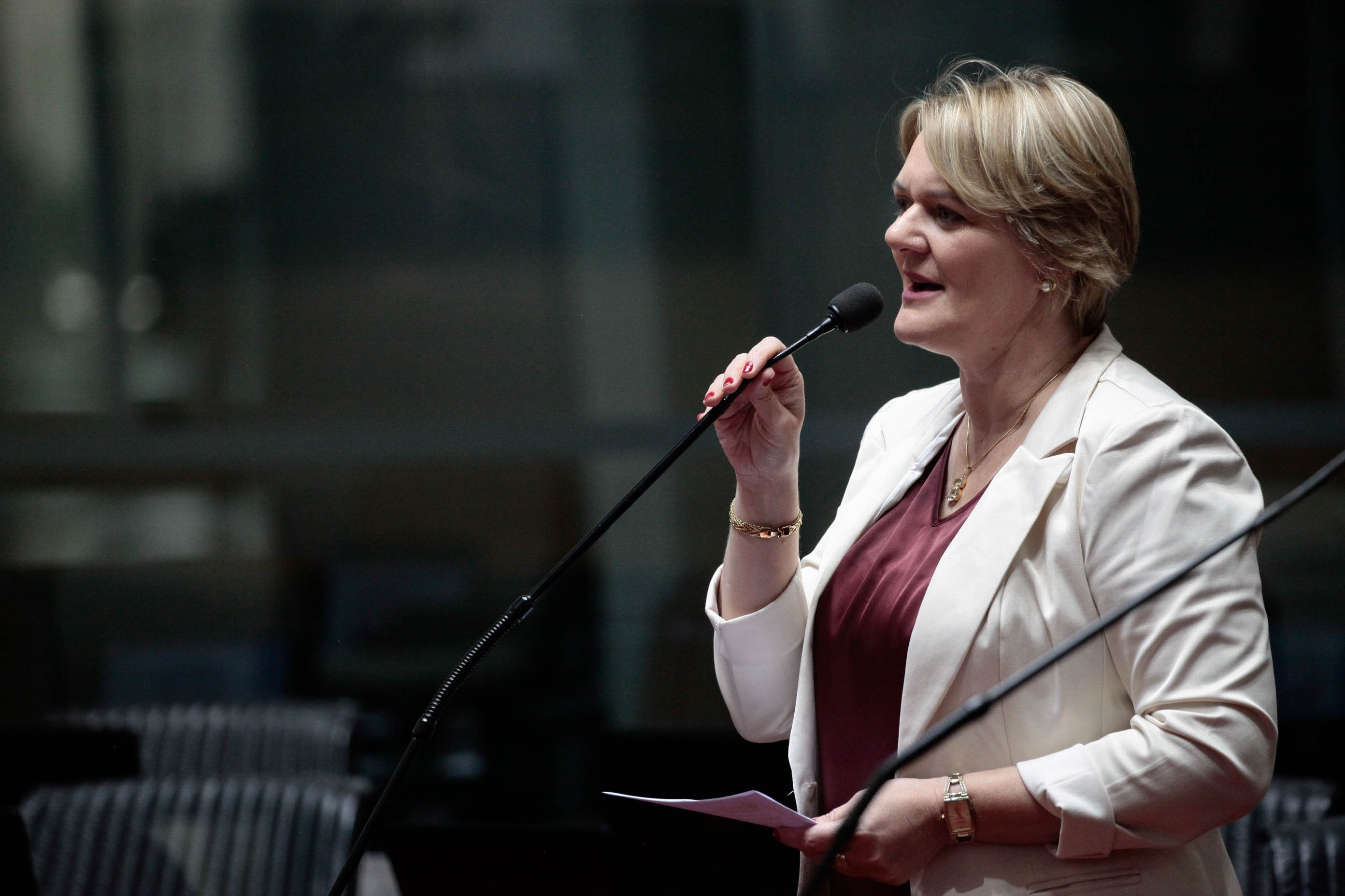Deputado Luciane Carminatti (PT). Sessão Ordinária.