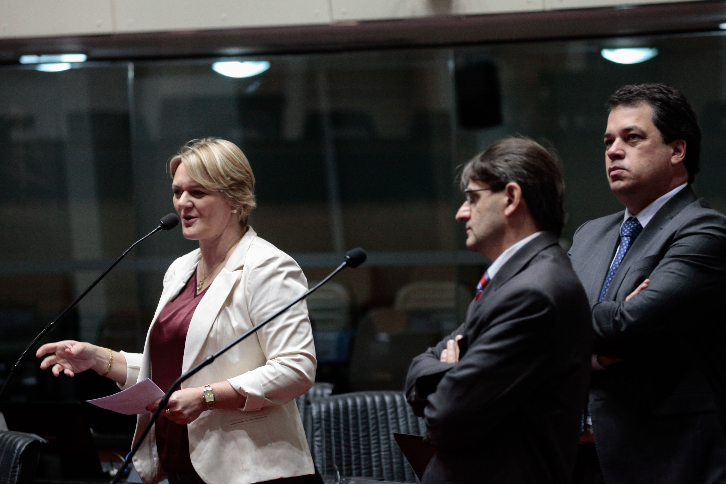 Deputado Luciane Carminatti (PT). Sessão Ordinária.