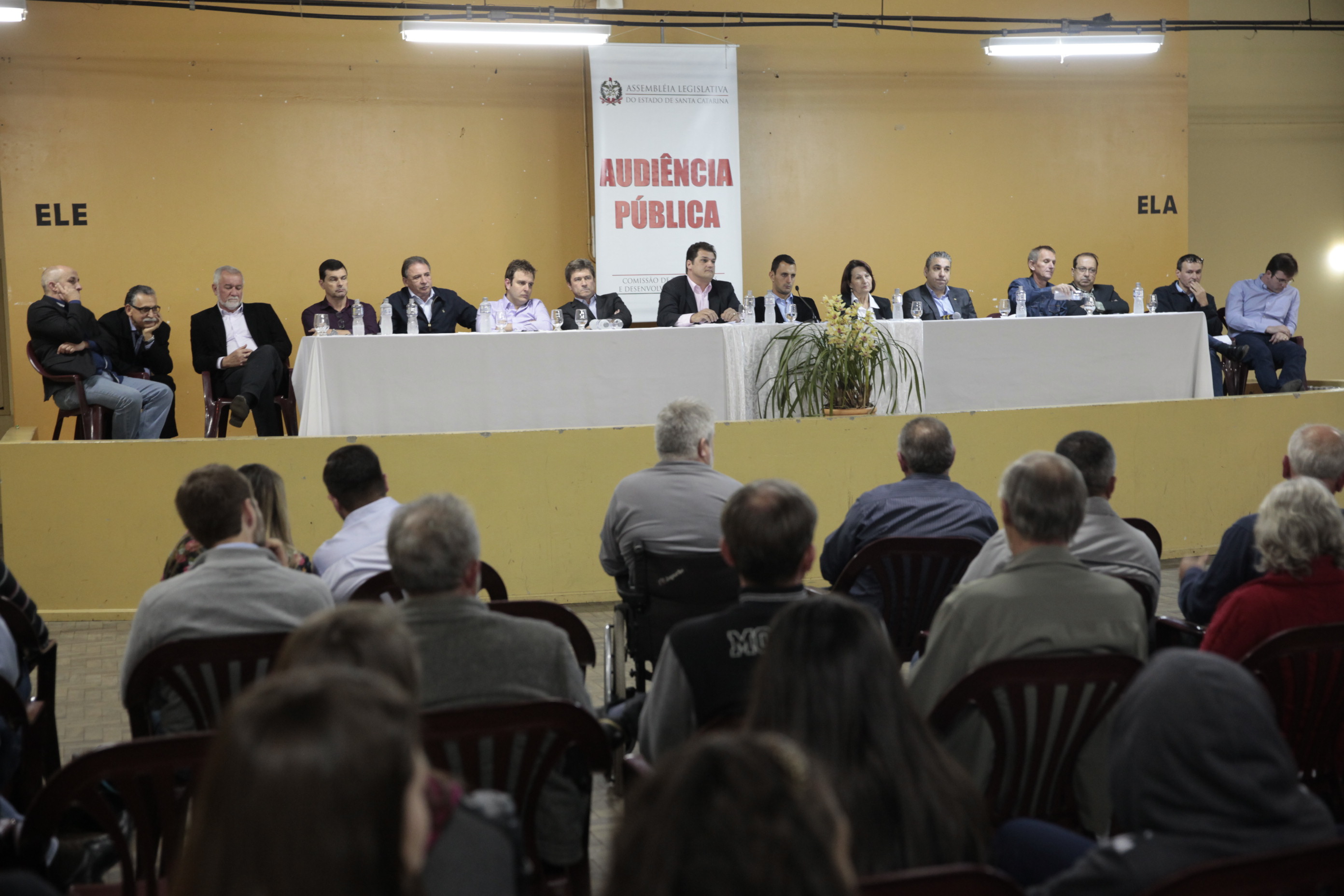 Comissão de Transportes Promove Audiência Pública em Morro da Fumaça