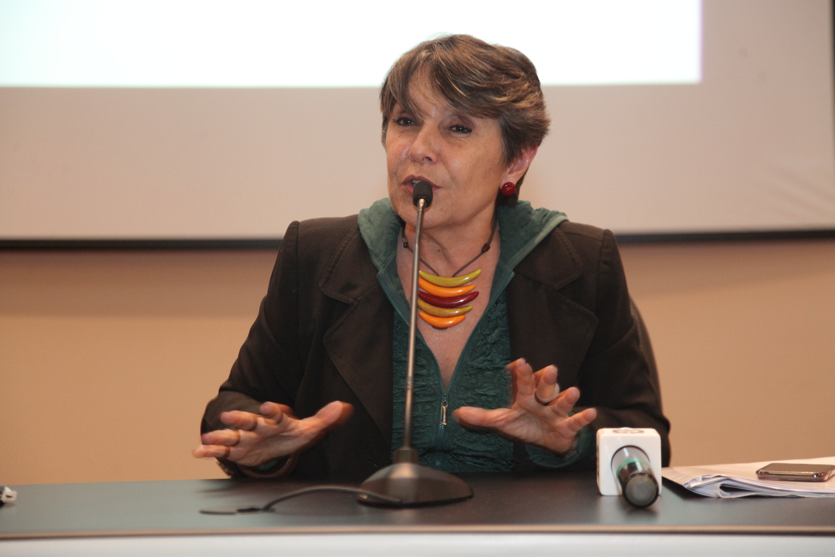 Deputada federal Érika Kokay. 3º Congresso Nacional de Parto Humanizado.
