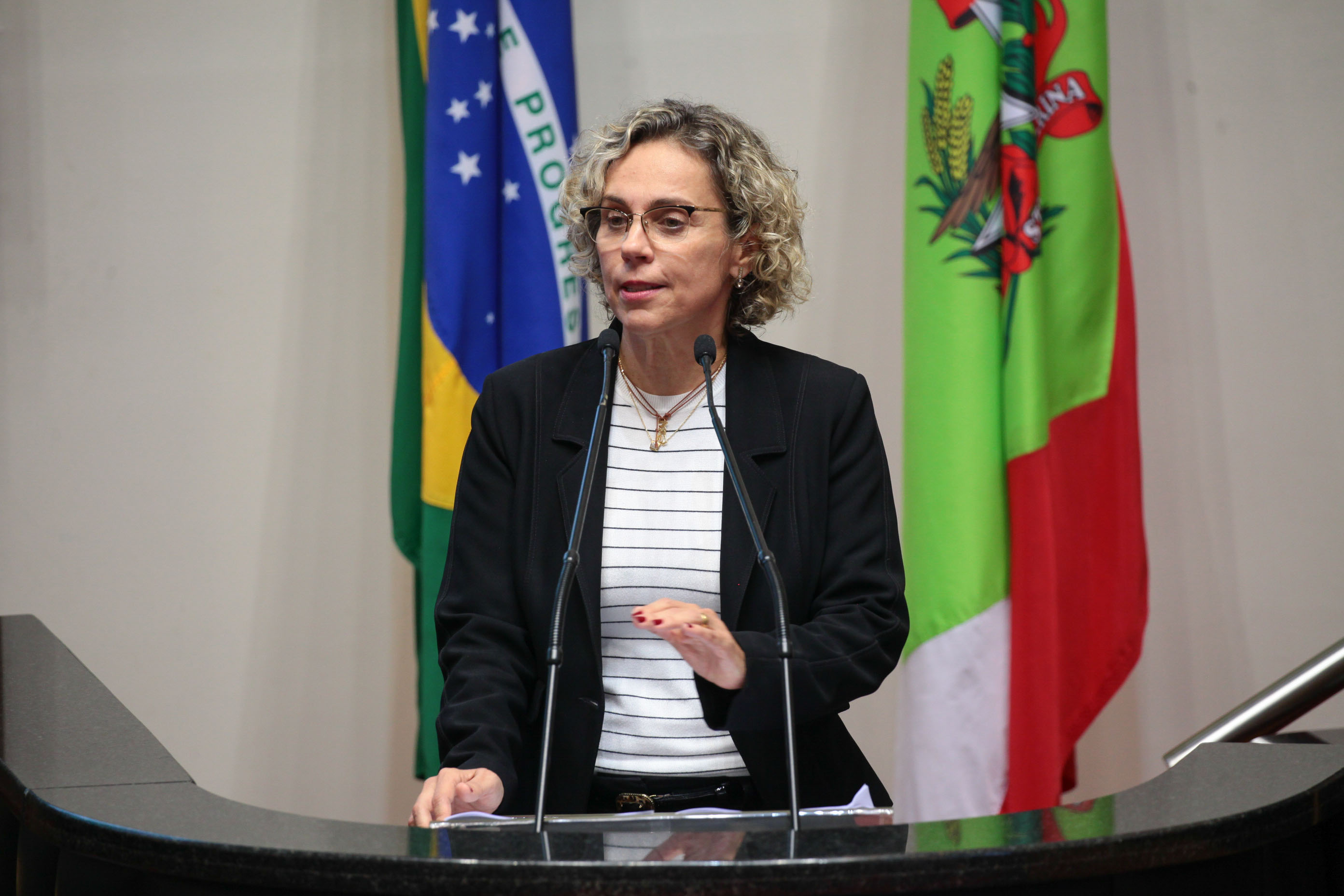 Sessão Ordinária. Deputada Ana Paula Lima (PT)