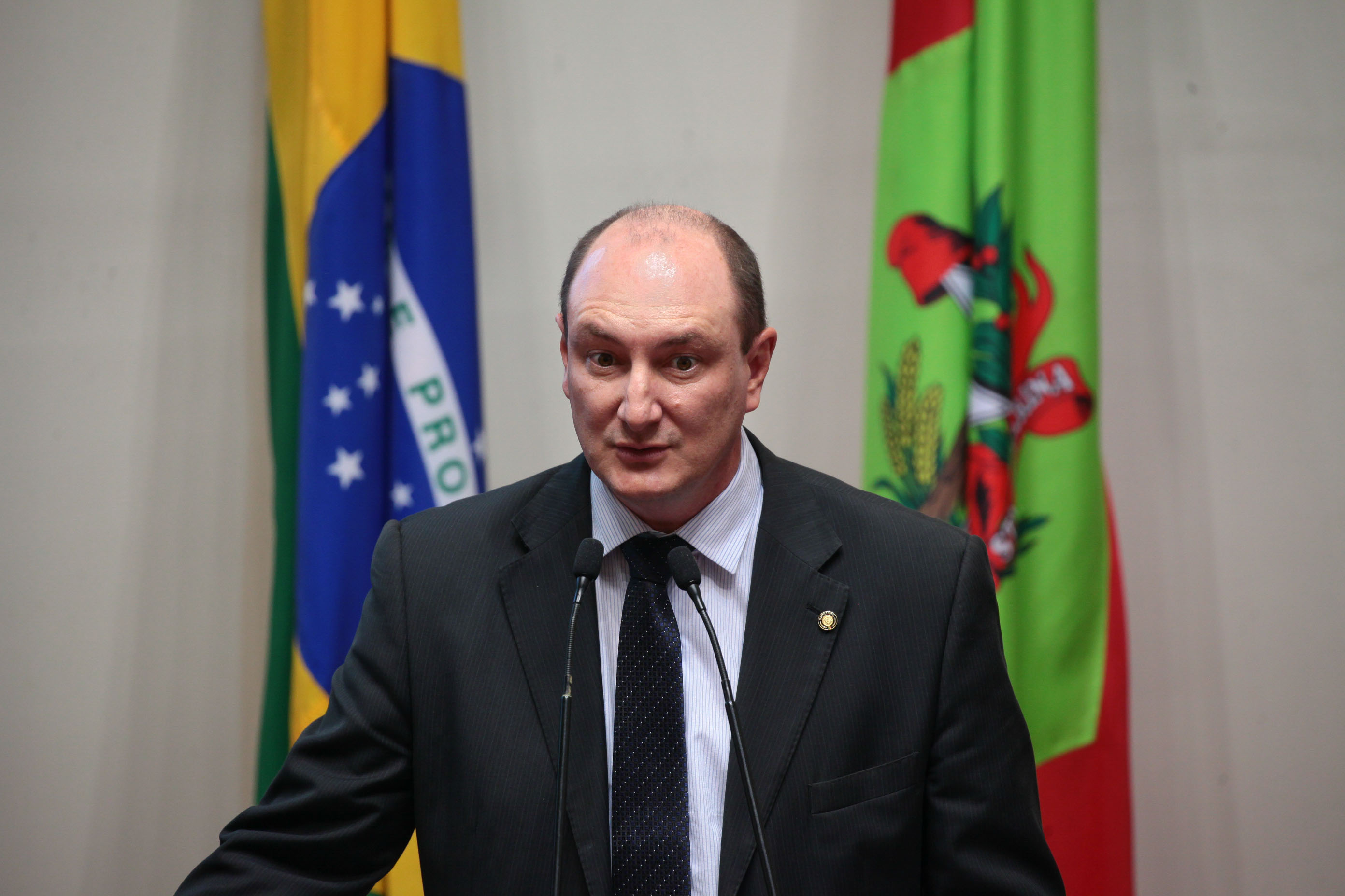 Sessão Ordinária. Deputado Mauro de Nadal (PMDB)
