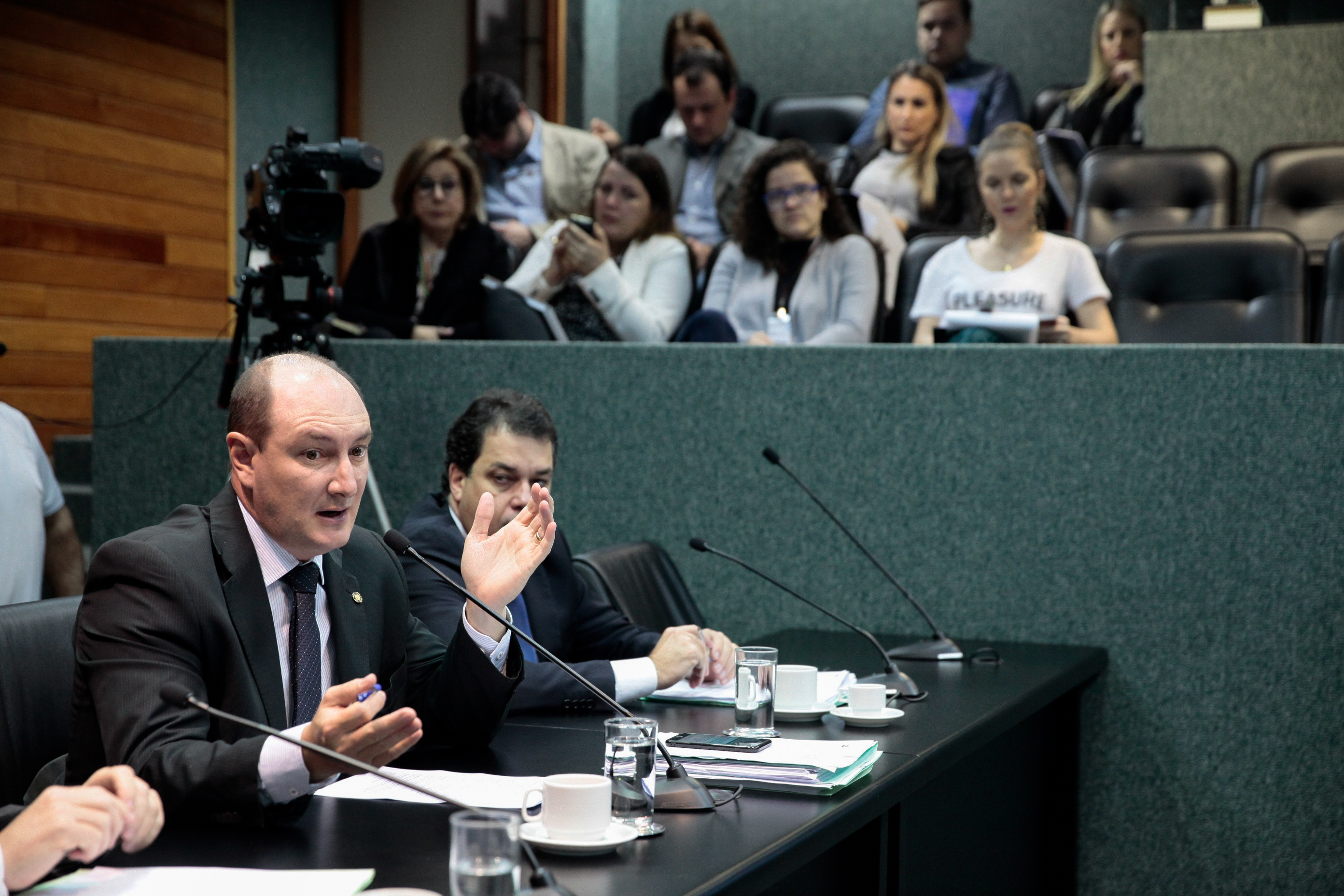 Comissão de Constituição e Justiça.