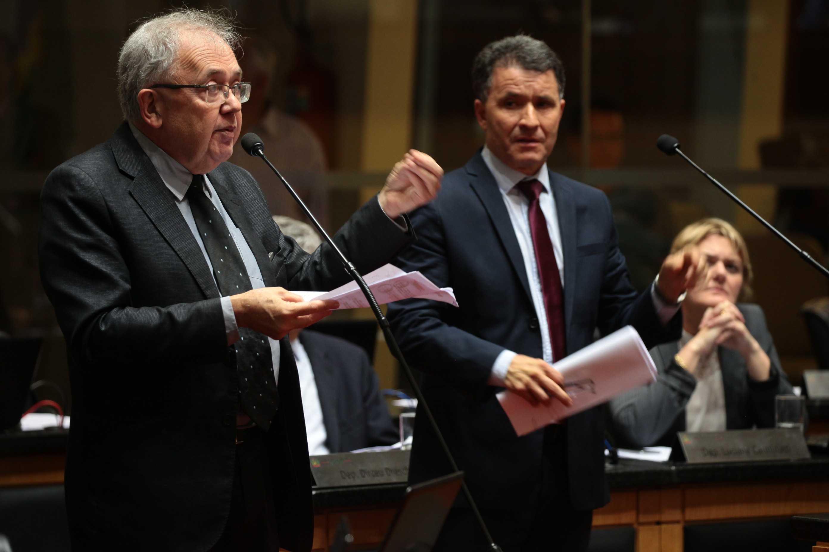 Sessão Ordinária. Foto: Fábio Queiroz / Agência AL