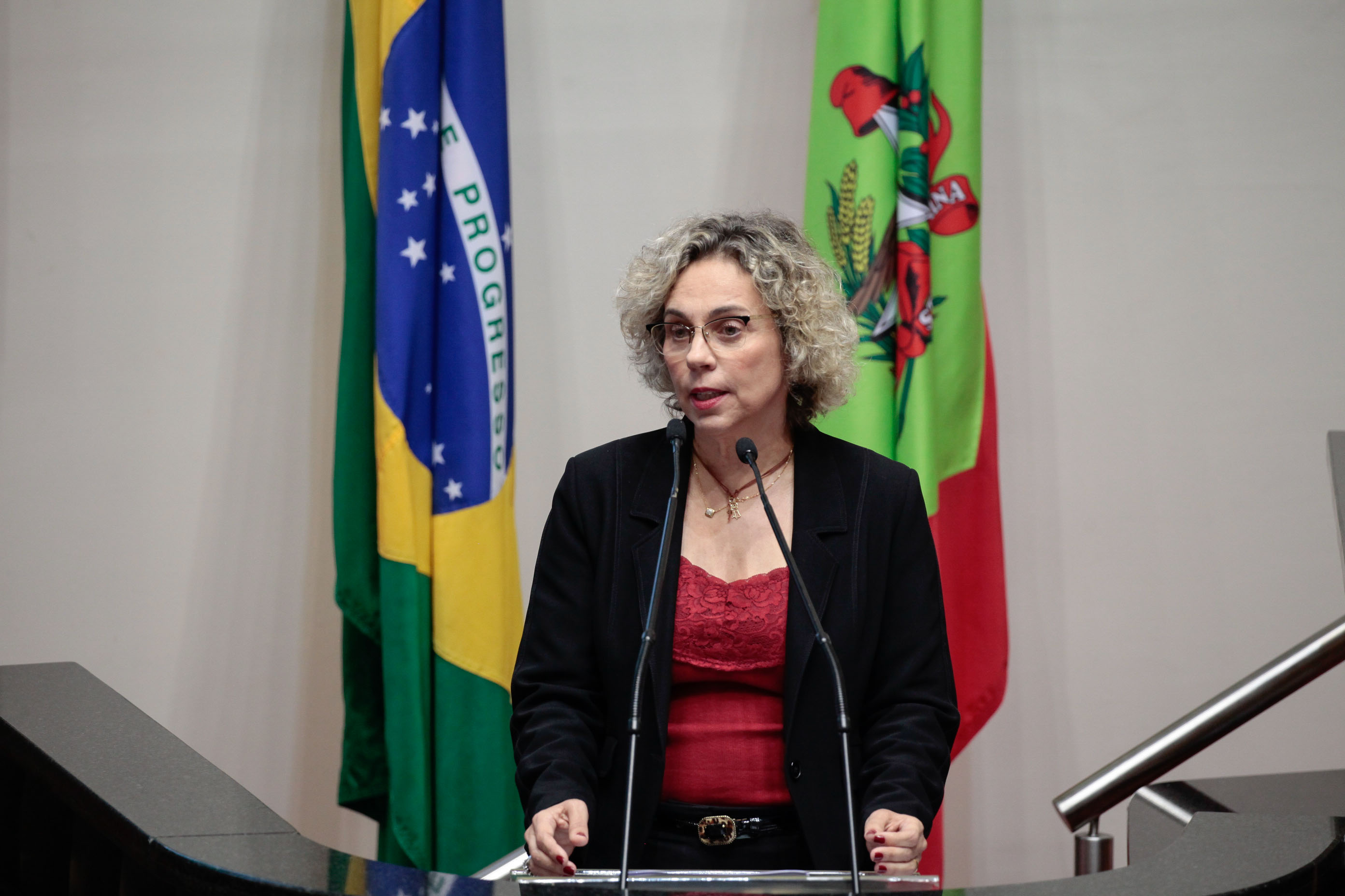 Deputada Ana Paula Lima (PT). Sessão Ordinária.