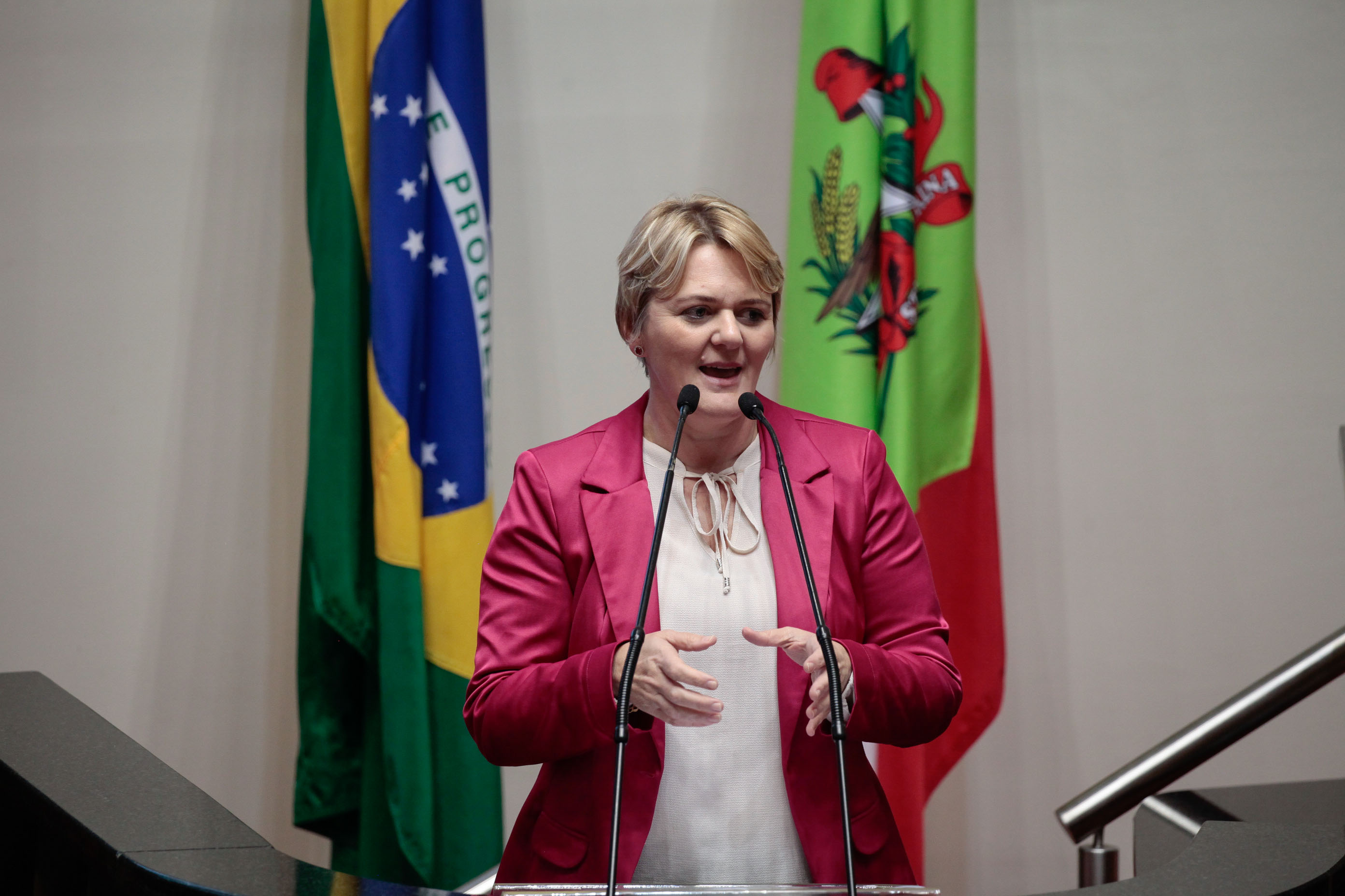 Deputada Luciane Carminatti (PT). Sessão Ordinária.
