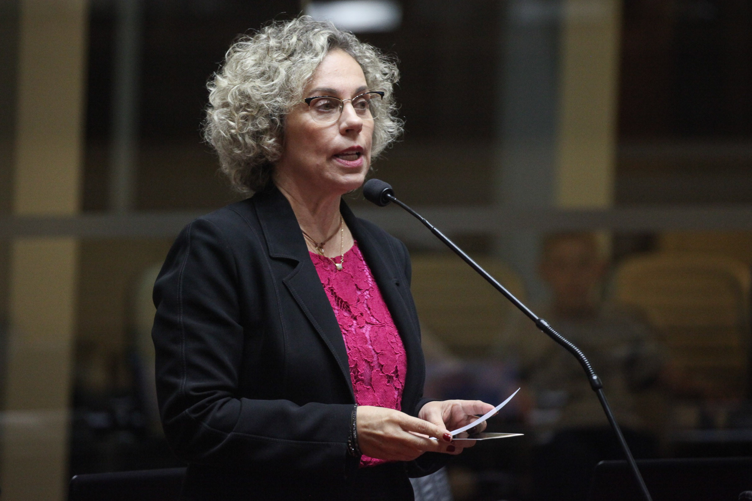 Deputada Ana Paula Lima (PT).  Sessão Ordinária.