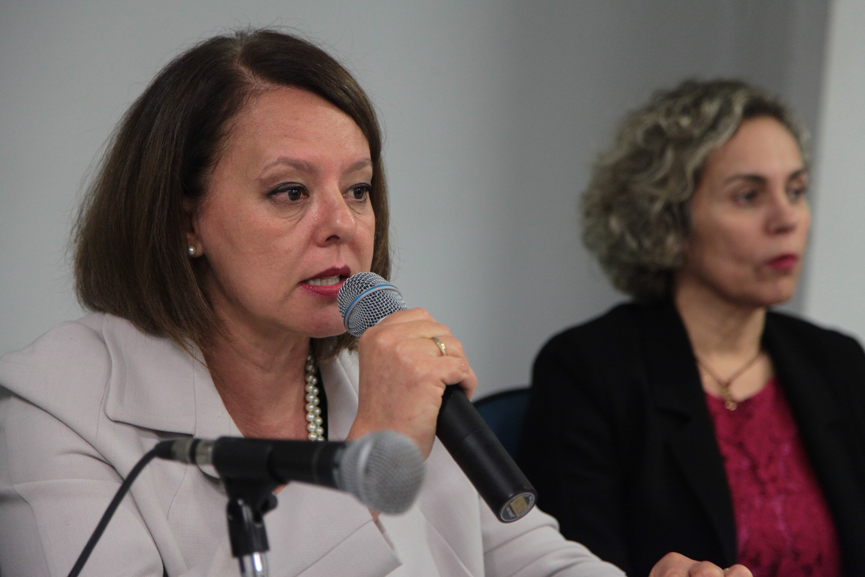 Seminário Lar Legal em Blumenau. Professora Catarina Gewehr (Furb)