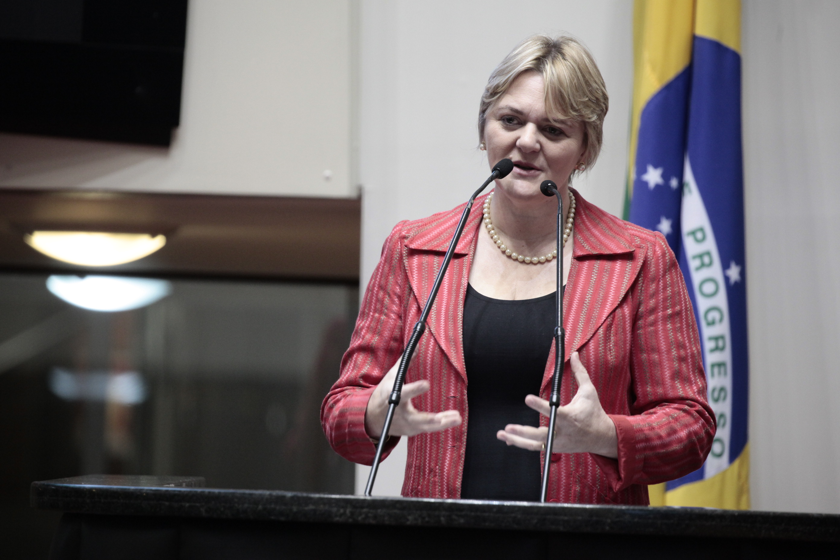 Deputada Luciane Carminatti (PT). Sessão Ordinária.