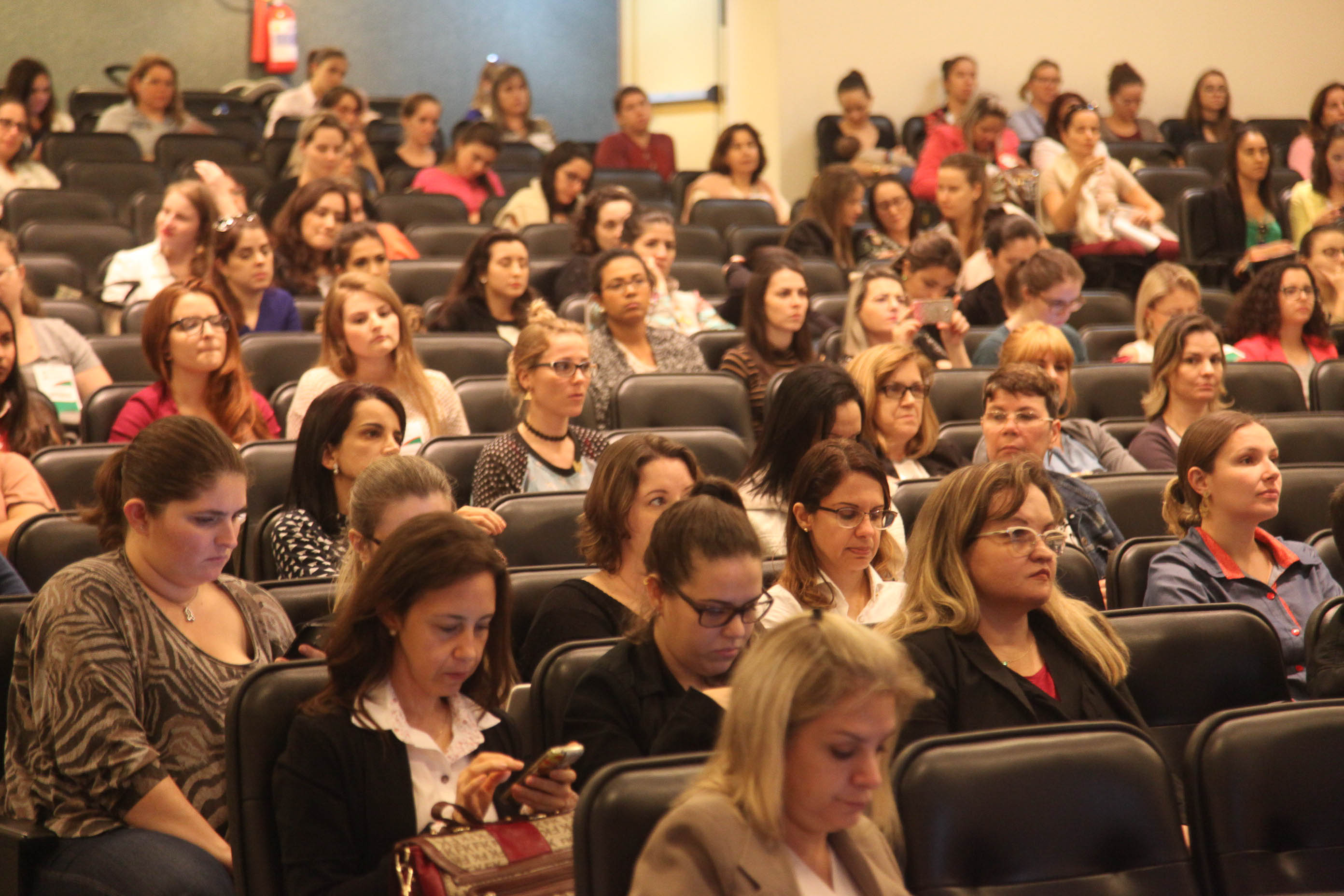 2°Congresso Catarinense de Aleitamento Materno.