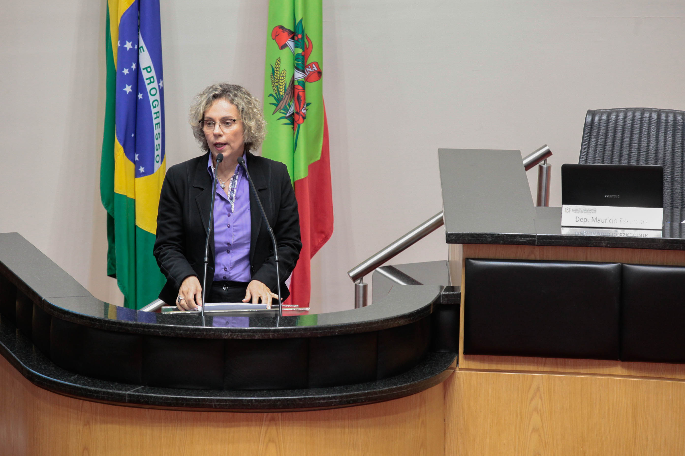 Deputada Ana Paula Lima (PT). Sessão Ordinária.