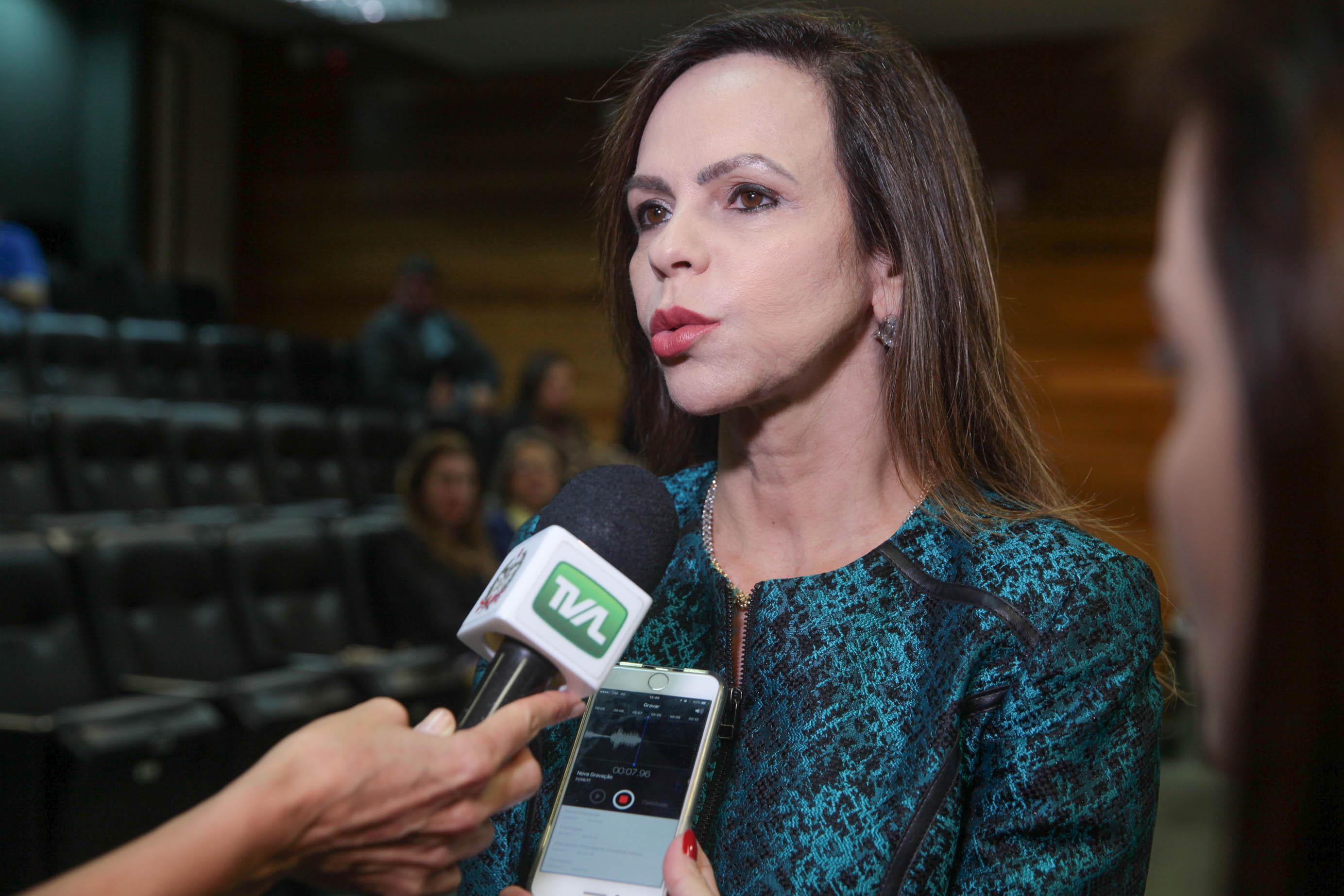 Dorinha Seabra Rezende. Audiência Pública sobre o Transporte Escolar.