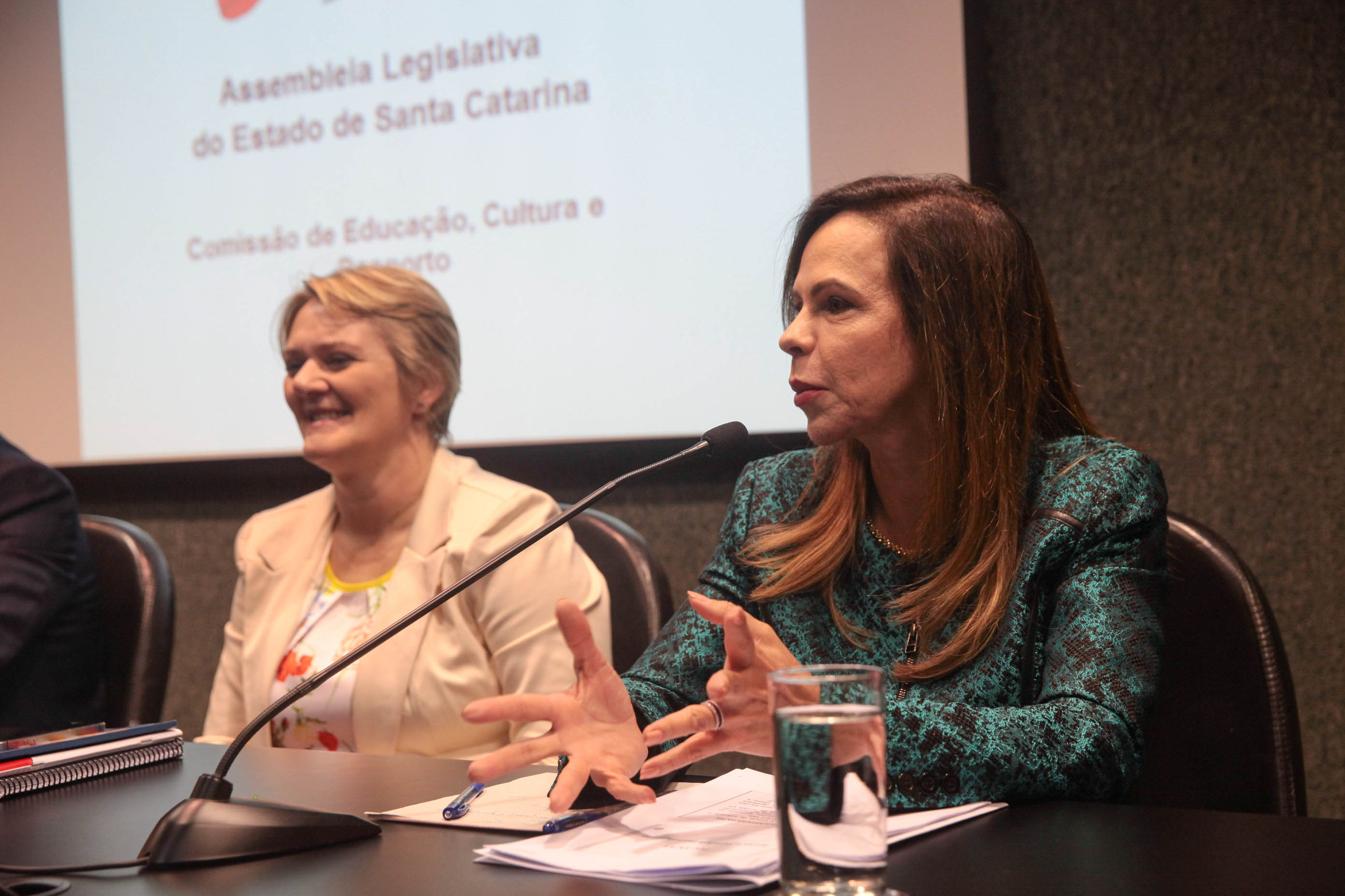 Audiência Pública sobre o Transporte Escolar.