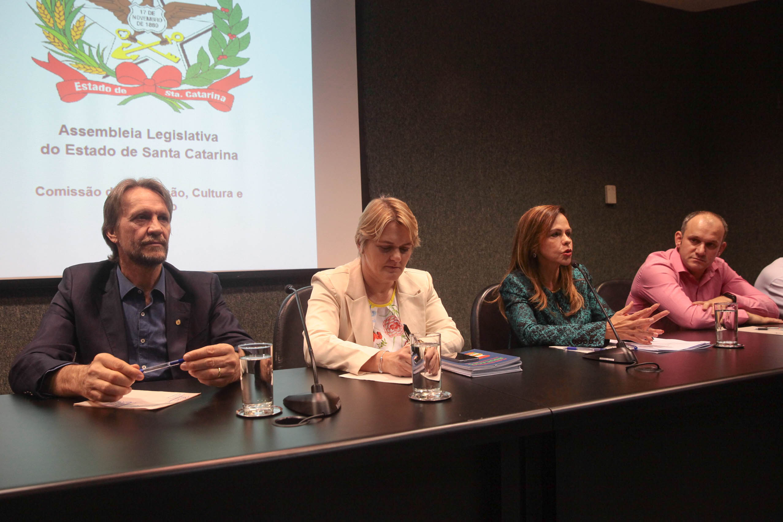 Audiência Pública sobre o Transporte Escolar.