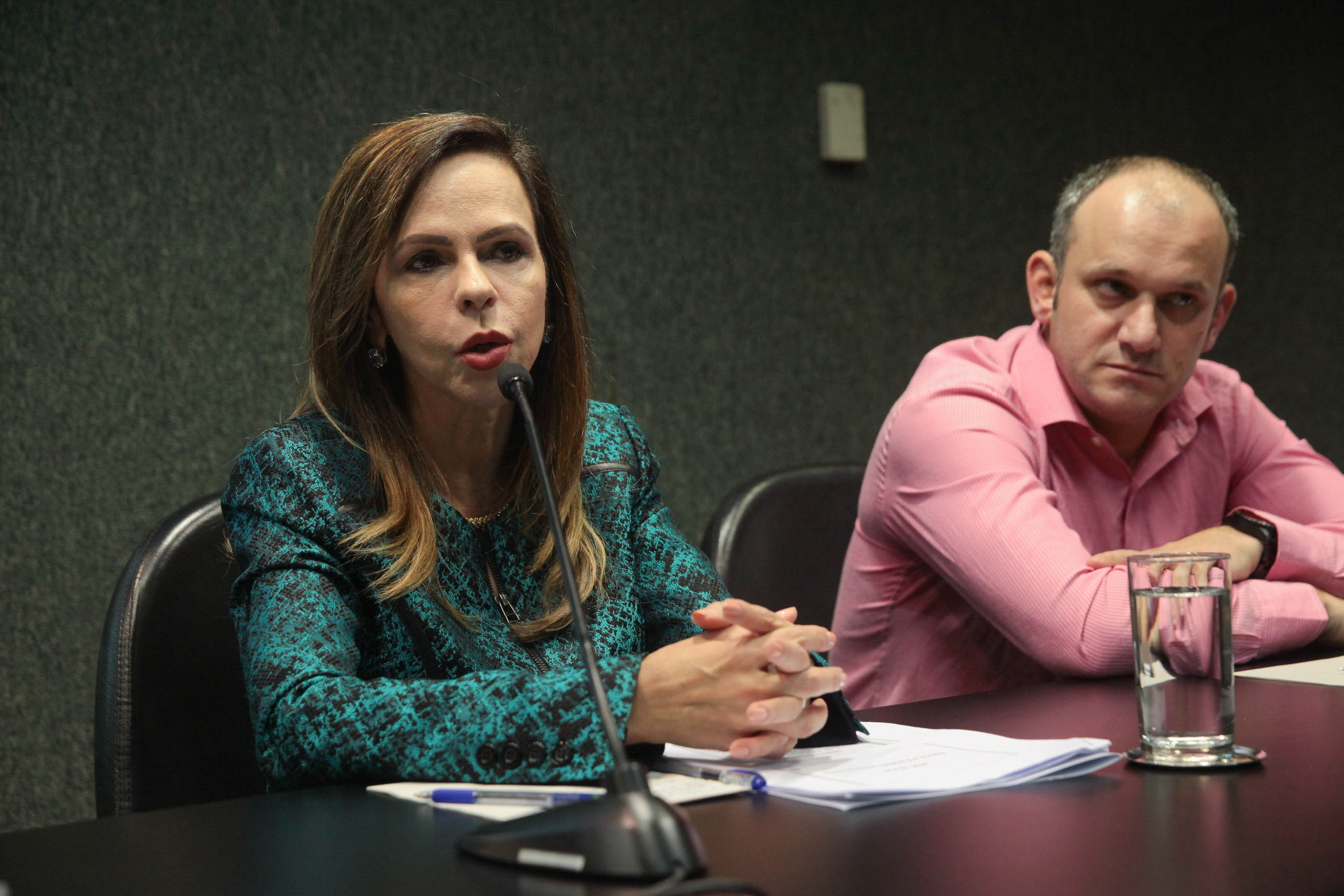 Audiência Pública sobre o Transporte Escolar.