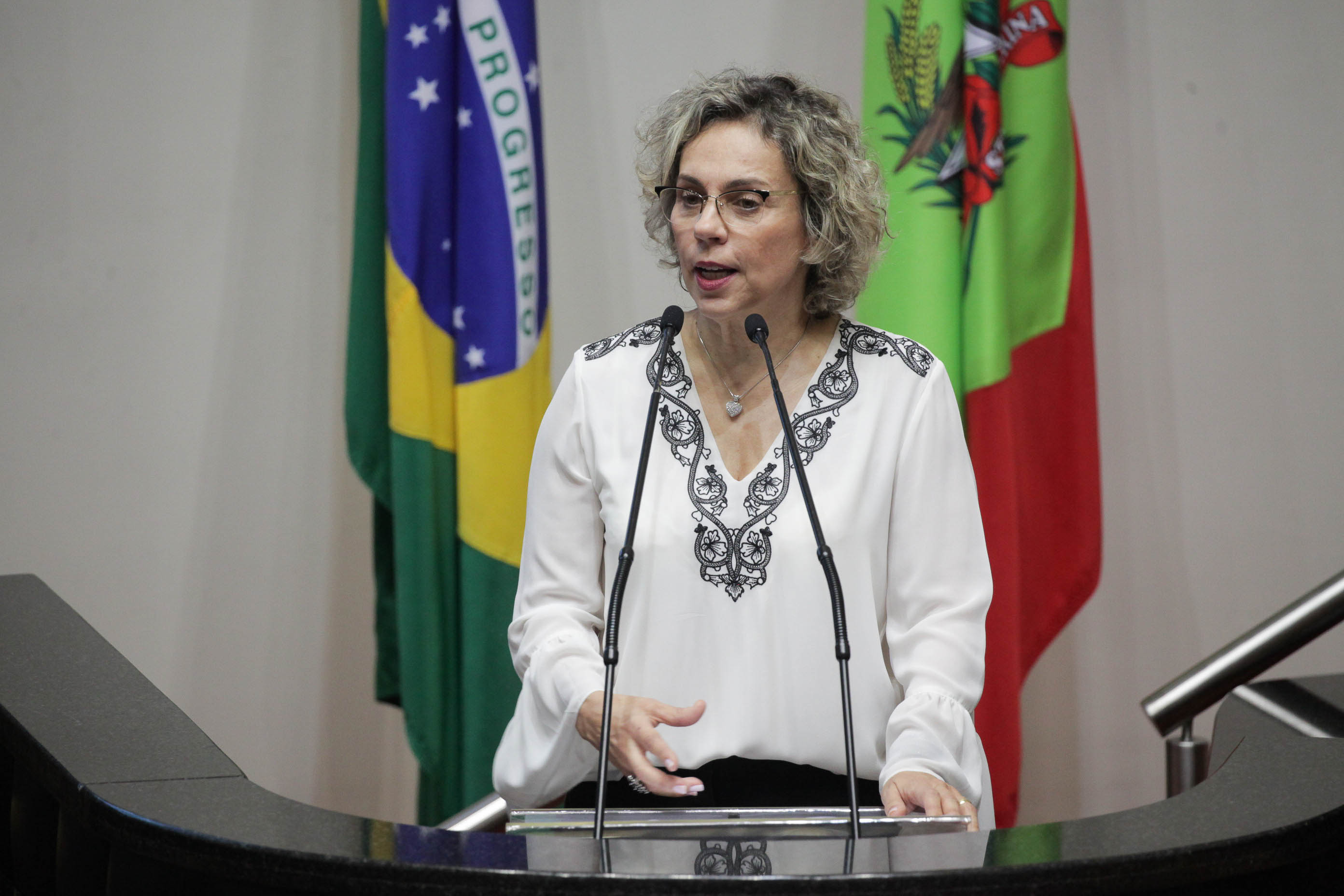 Deputado Ana Paula Lima (PT). Sessão Ordinária.