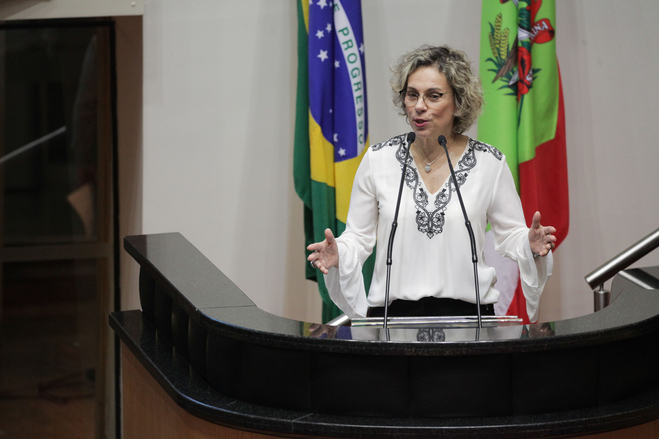 Deputado Ana Paula Lima (PT). Sessão Ordinária.