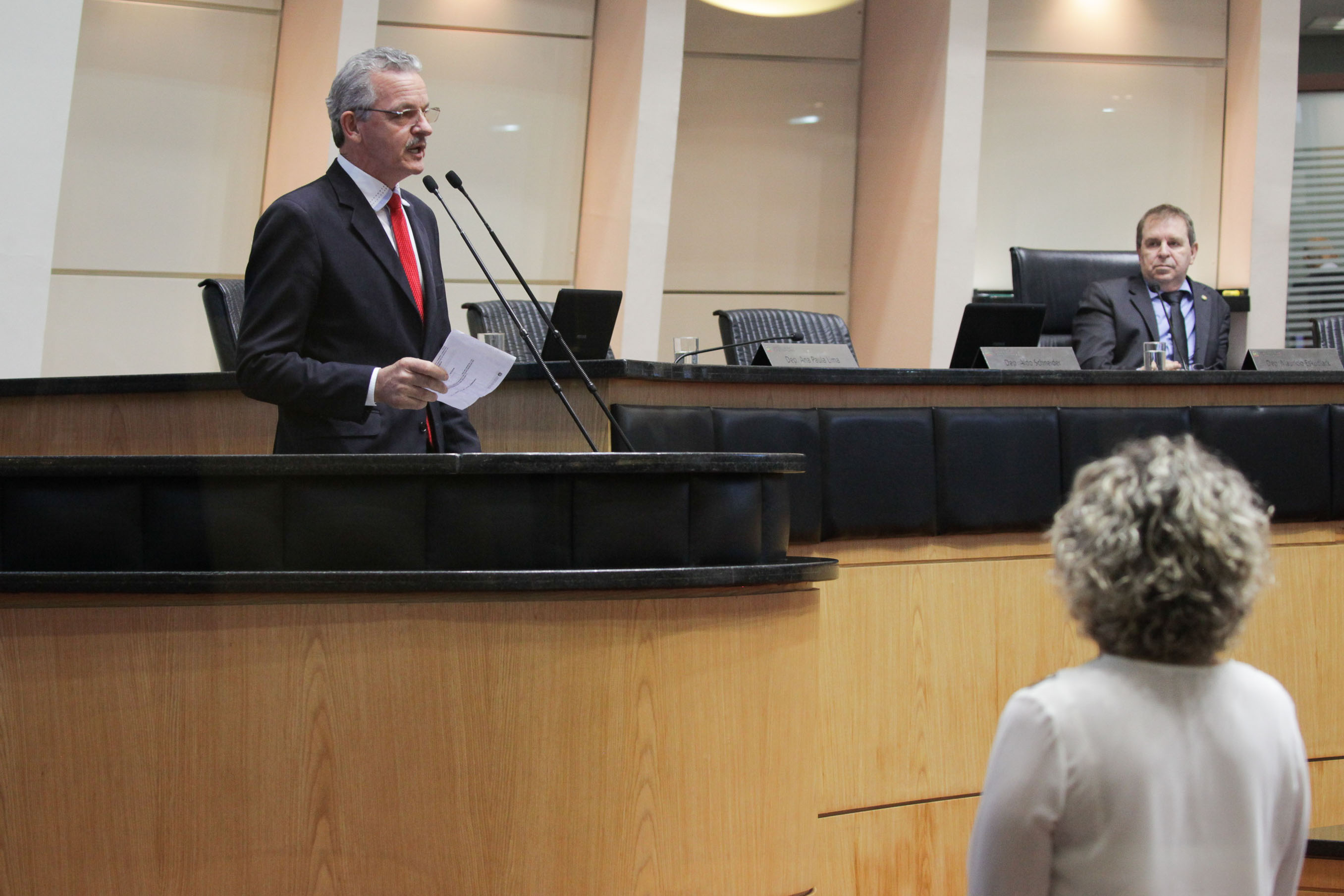 Deputado Dirceu Dresch (PT). Sessão Ordinária.