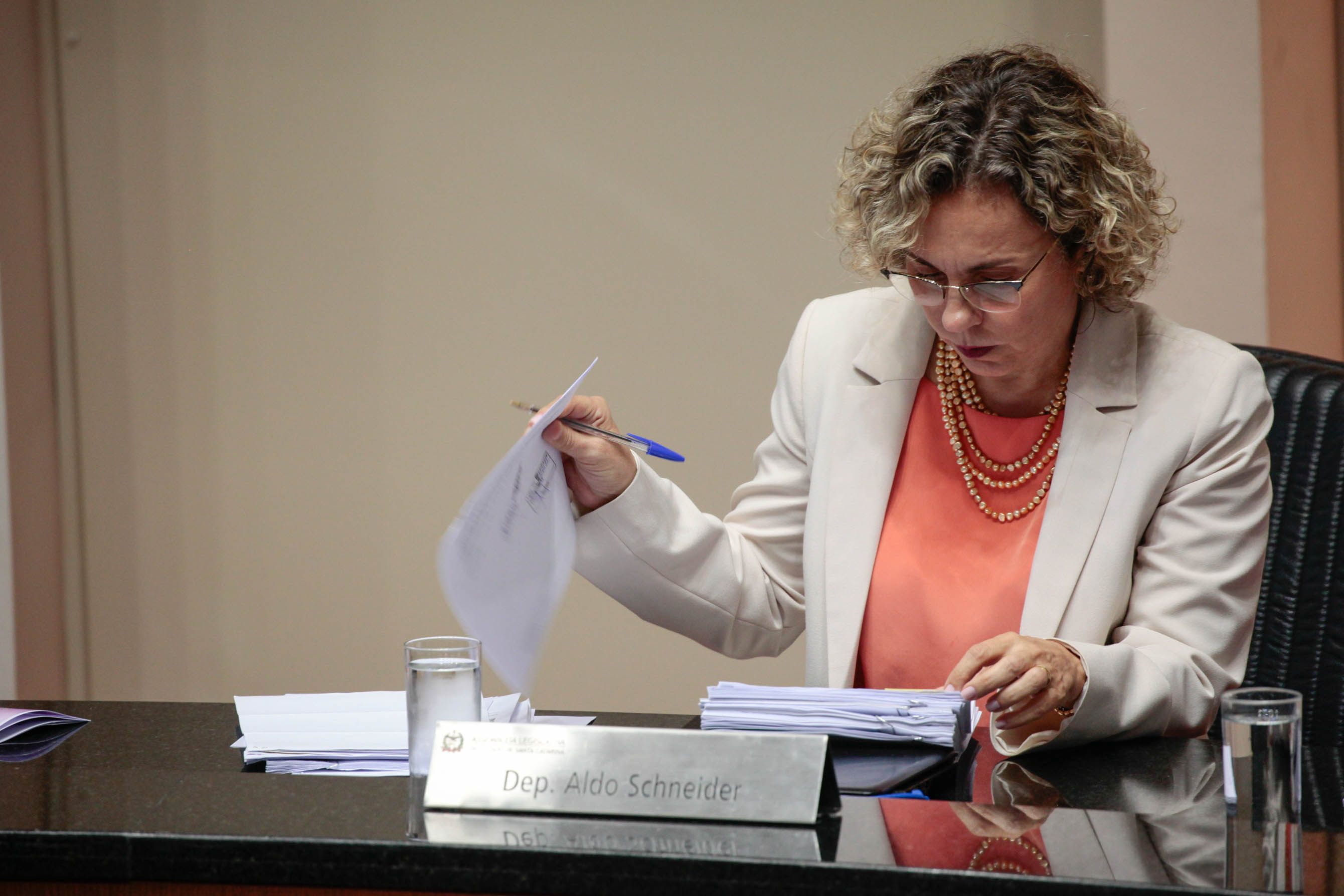 Deputada Ana Paula Lima (PT). Sessão Ordinária.