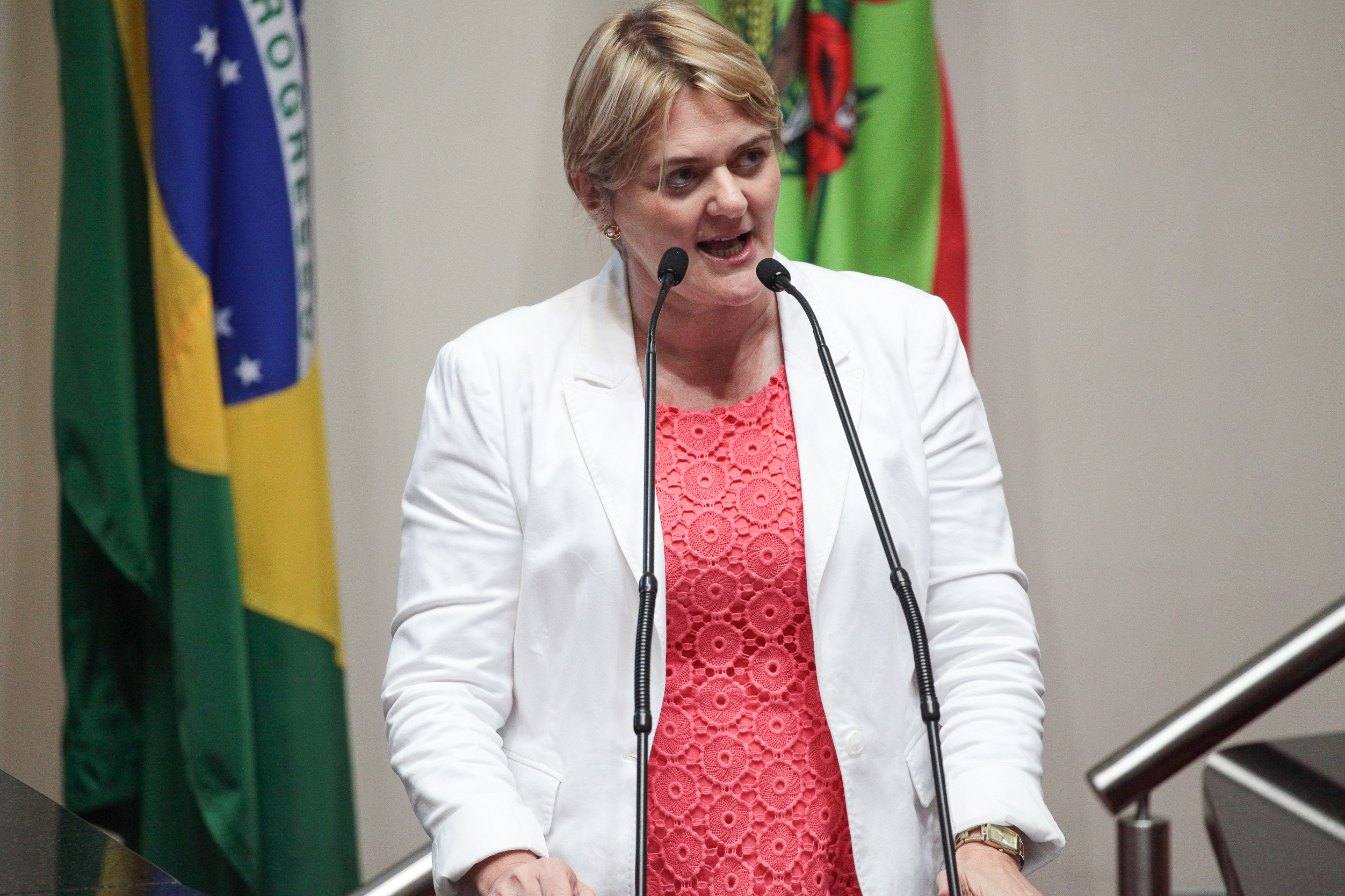 Sessão Ordinária. Deputada Luciane Carminatti (PT)
