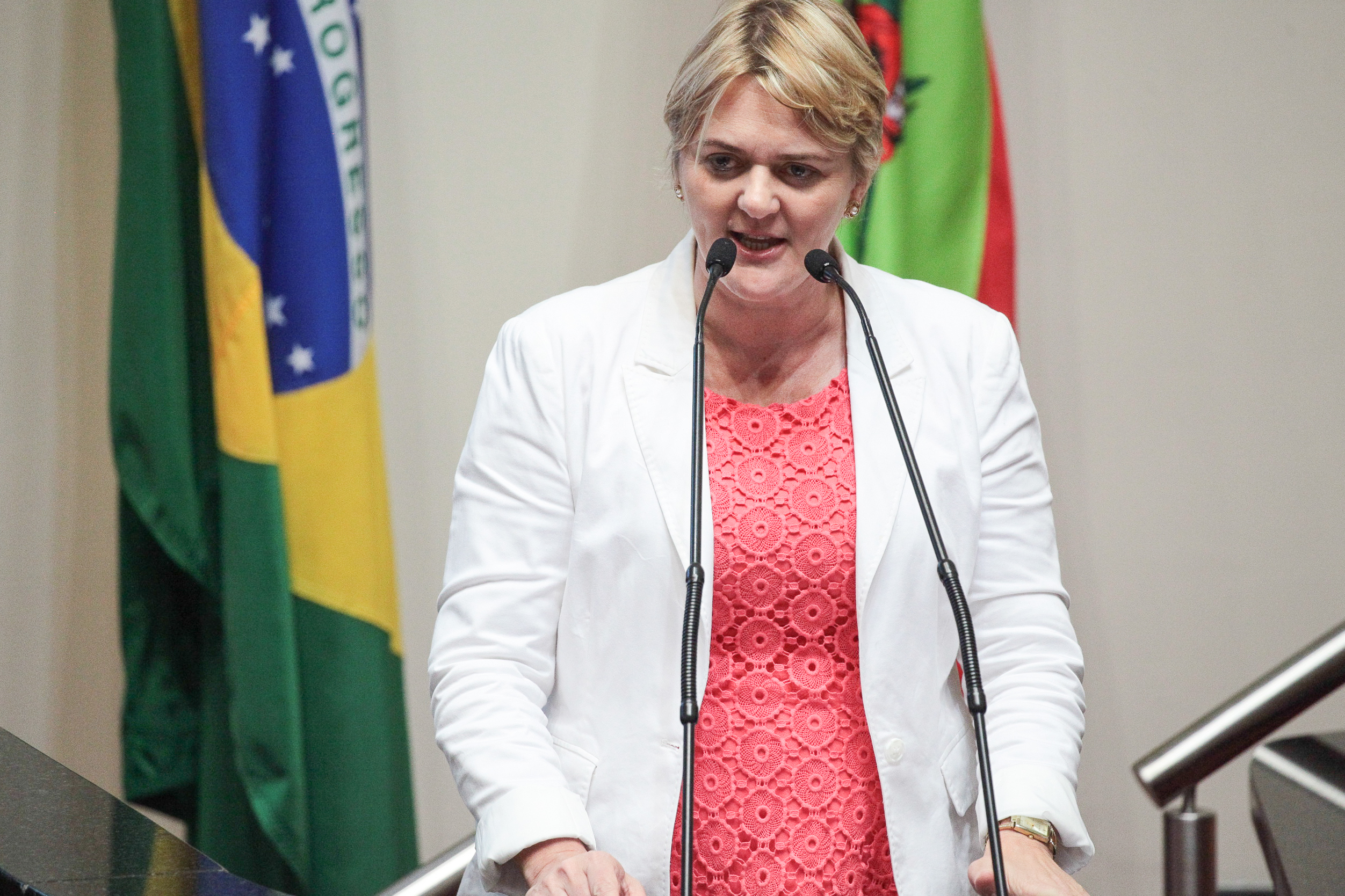 Sessão Ordinária. Deputada Luciane Carminatti (PT)